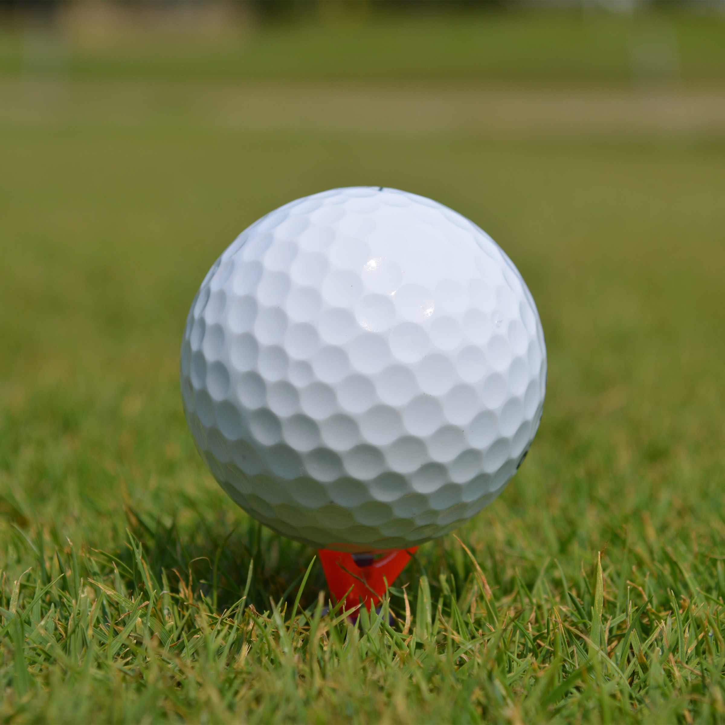 Enlarge Product Preview 5