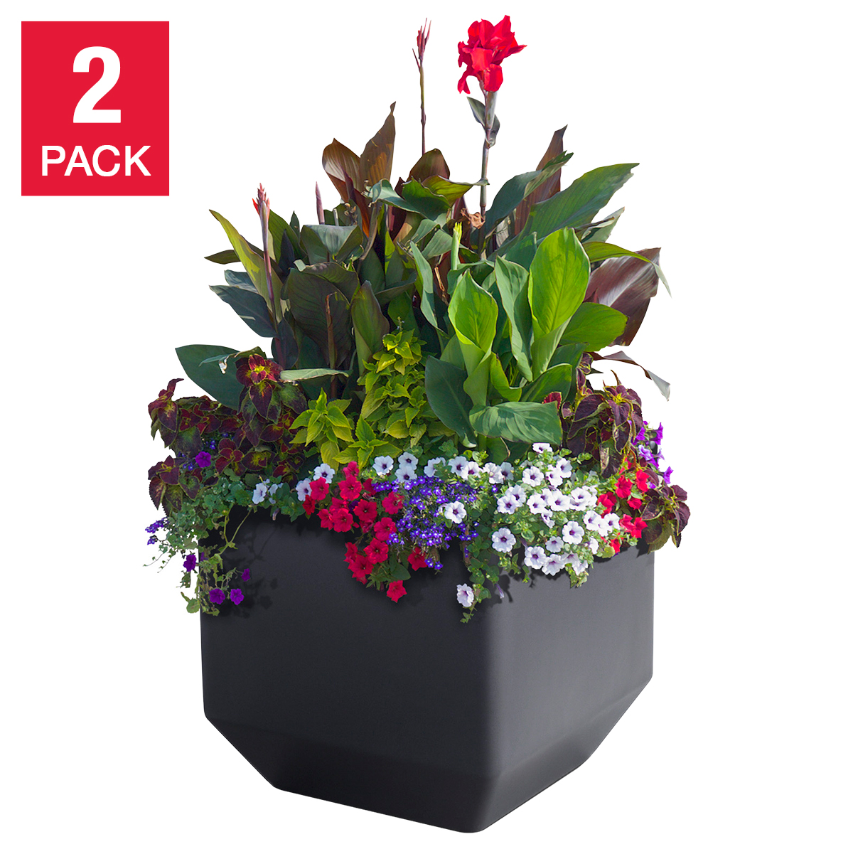Versa 40.6 cm (16 in.) Square Self-watering Planter, 2-pack