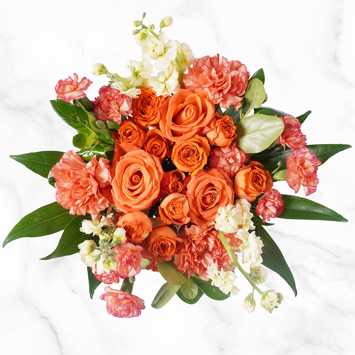 Enlarge Product Preview 4