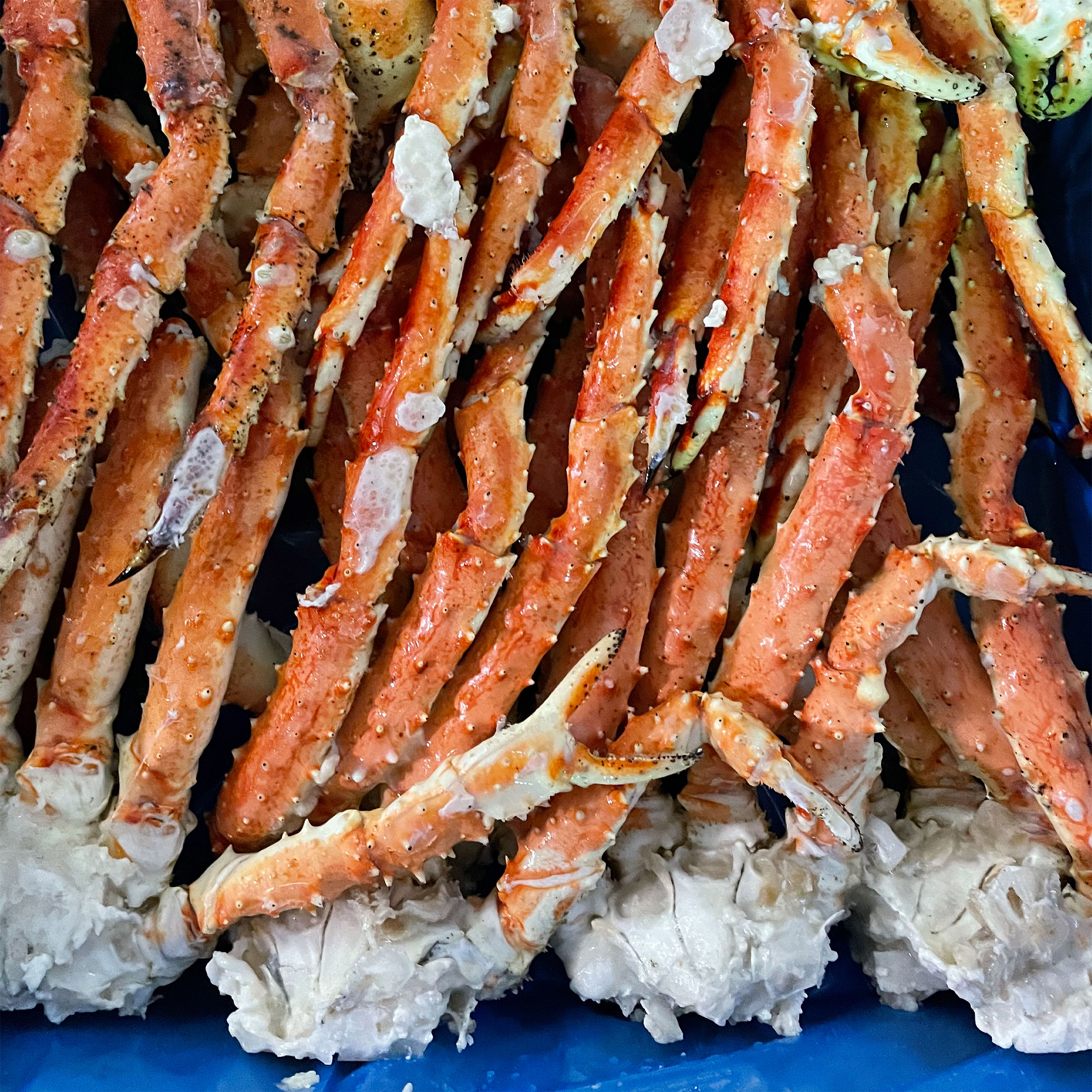 Enlarge Product Preview 4 Successfully Enriched by automation Job.