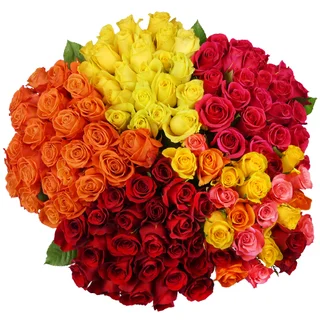 24 Count Premium Roses