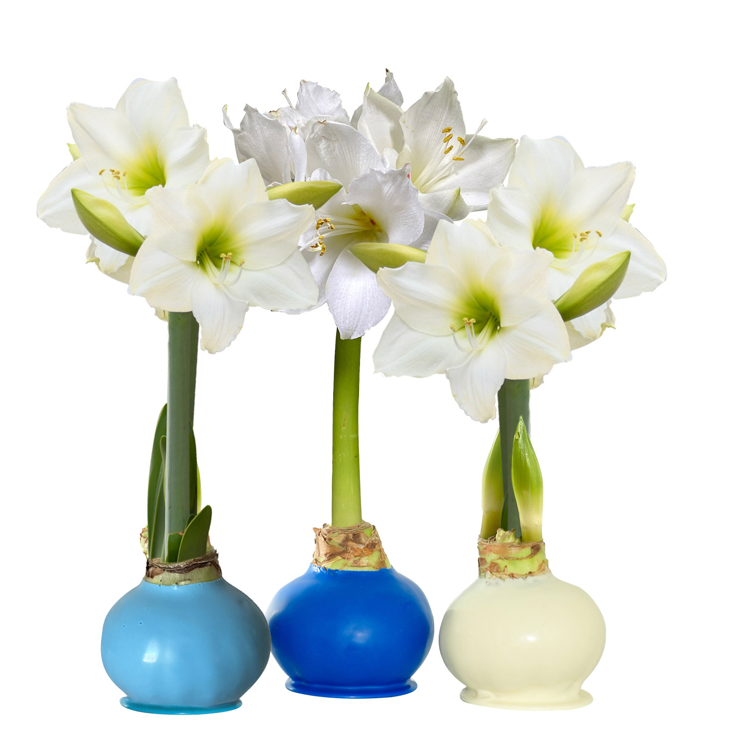 Enlarge Product Preview 2