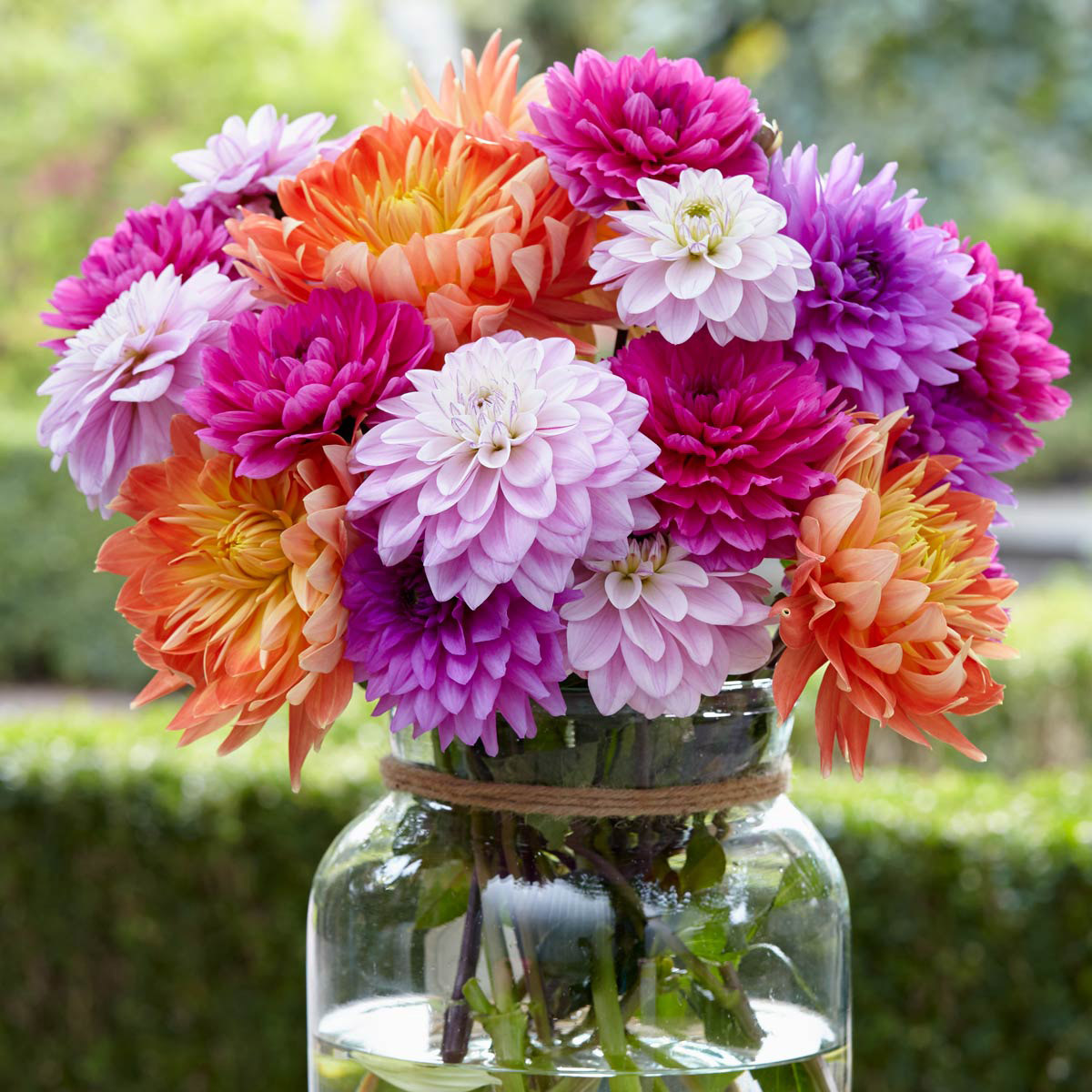 Enlarge Product Preview 2