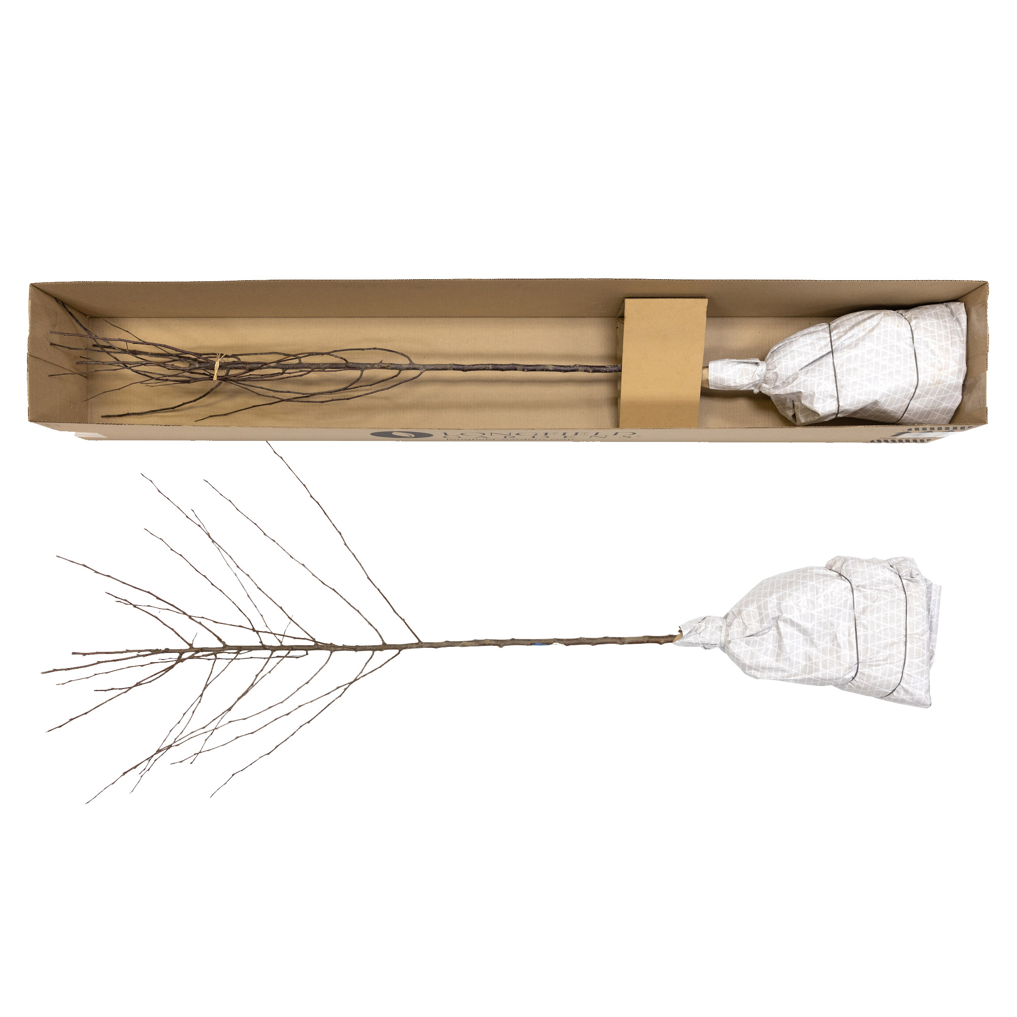 Enlarge Product Preview 2