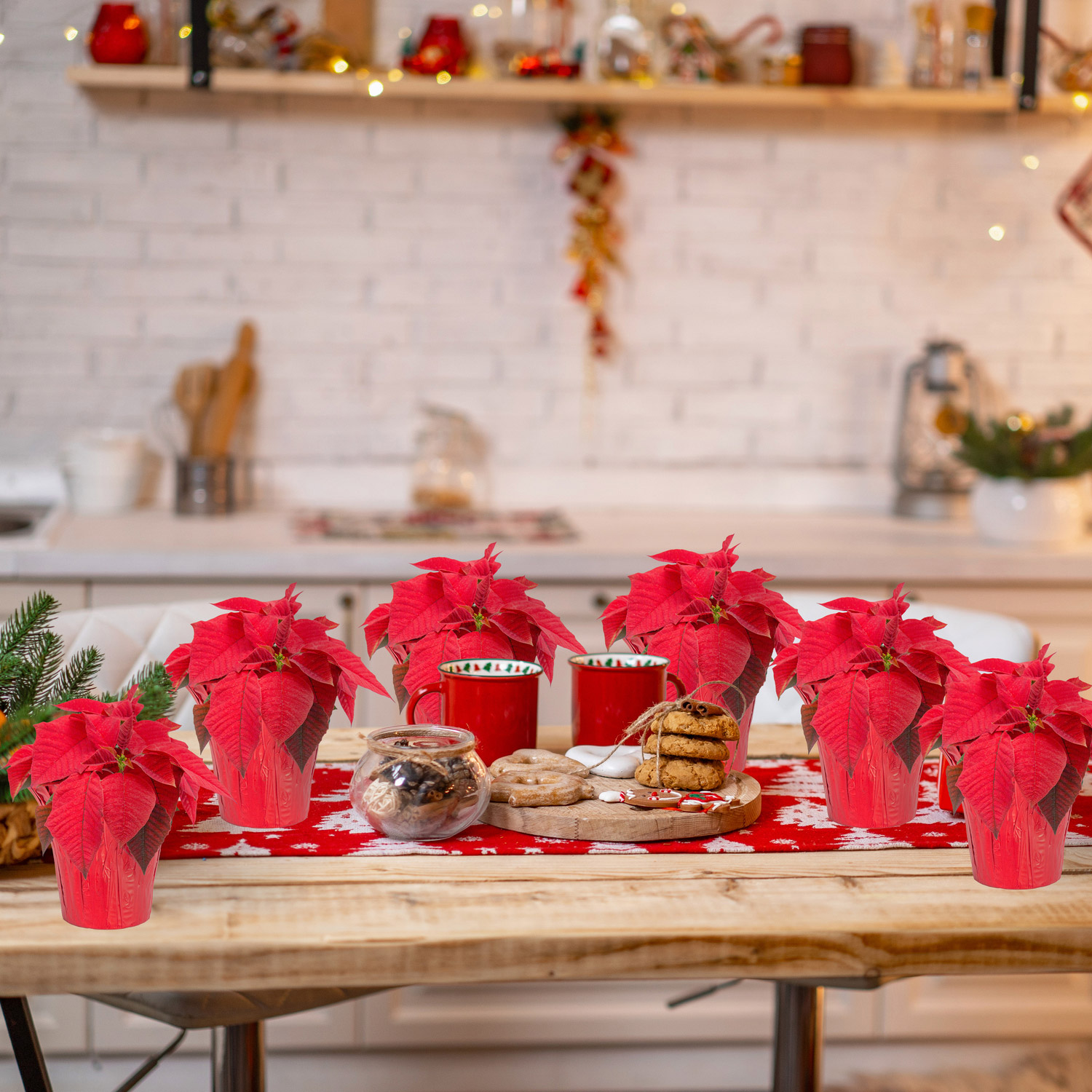 Enlarge Product Preview 2 Successfully Enriched by automation Job.