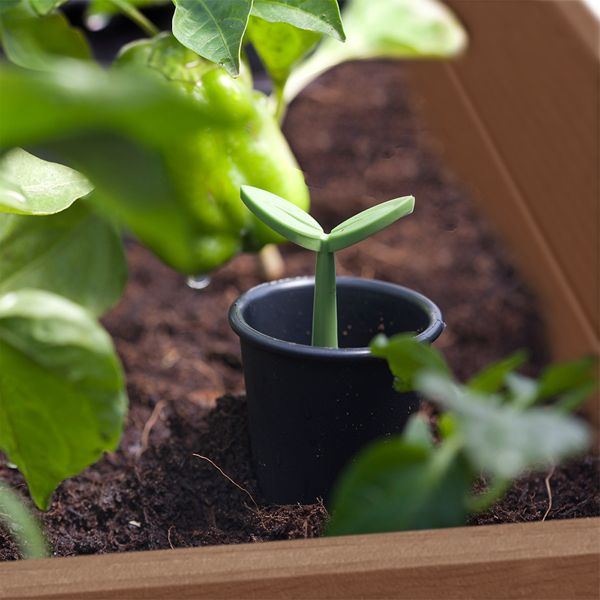 Enlarge Product Preview 6