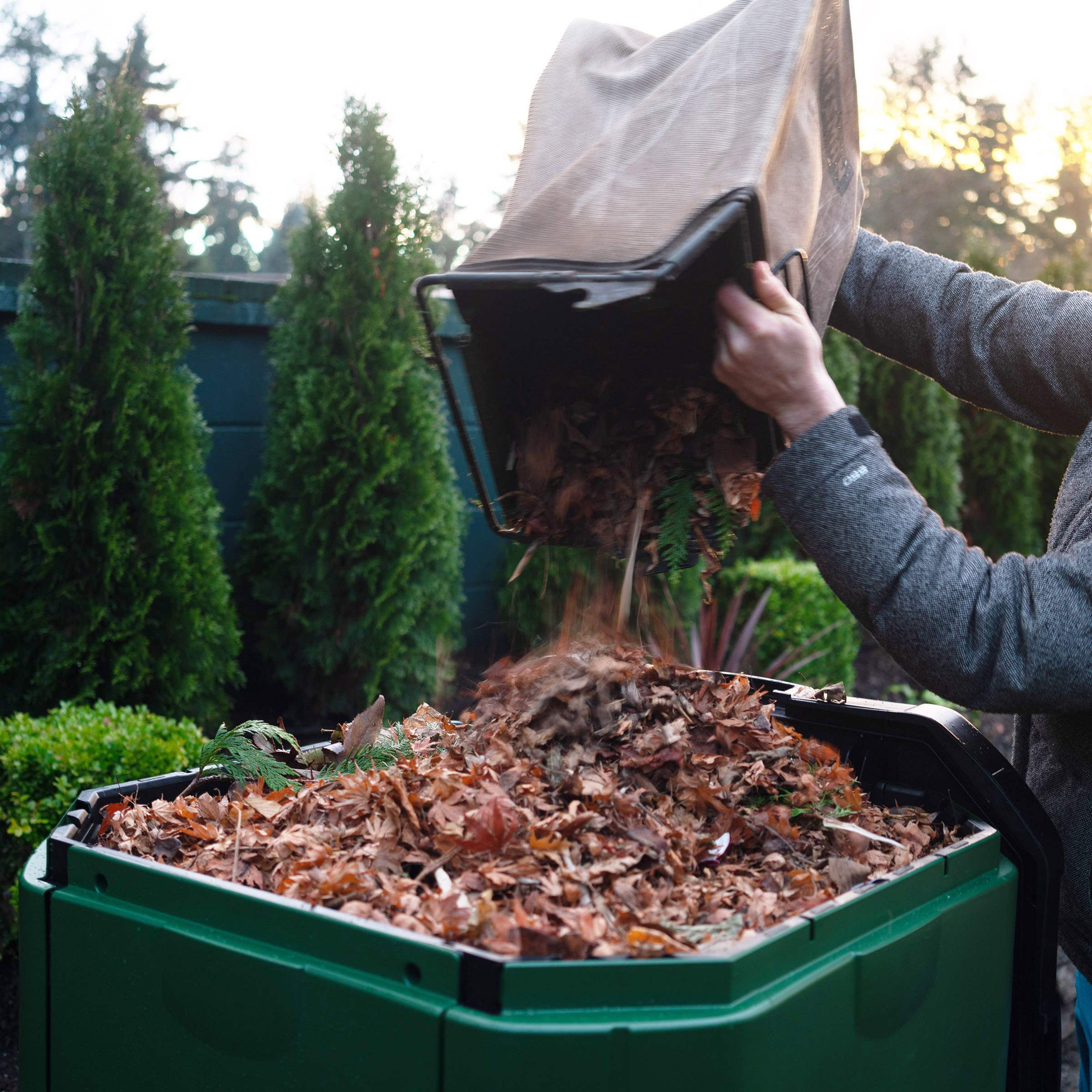 Enlarge Product Preview 5