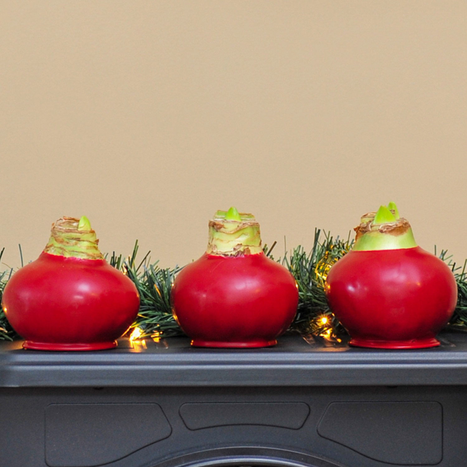 Enlarge Product Preview 5