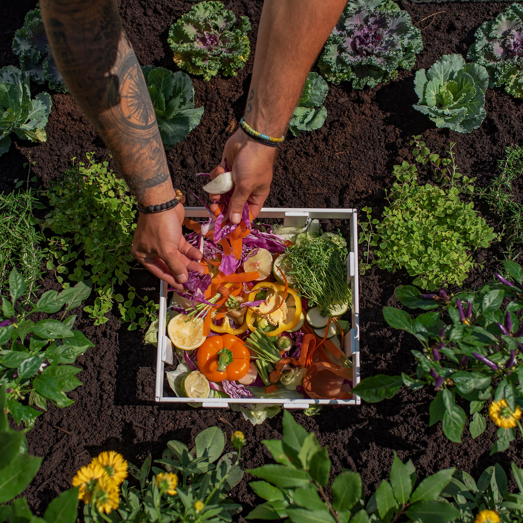 Enlarge Product Preview 5