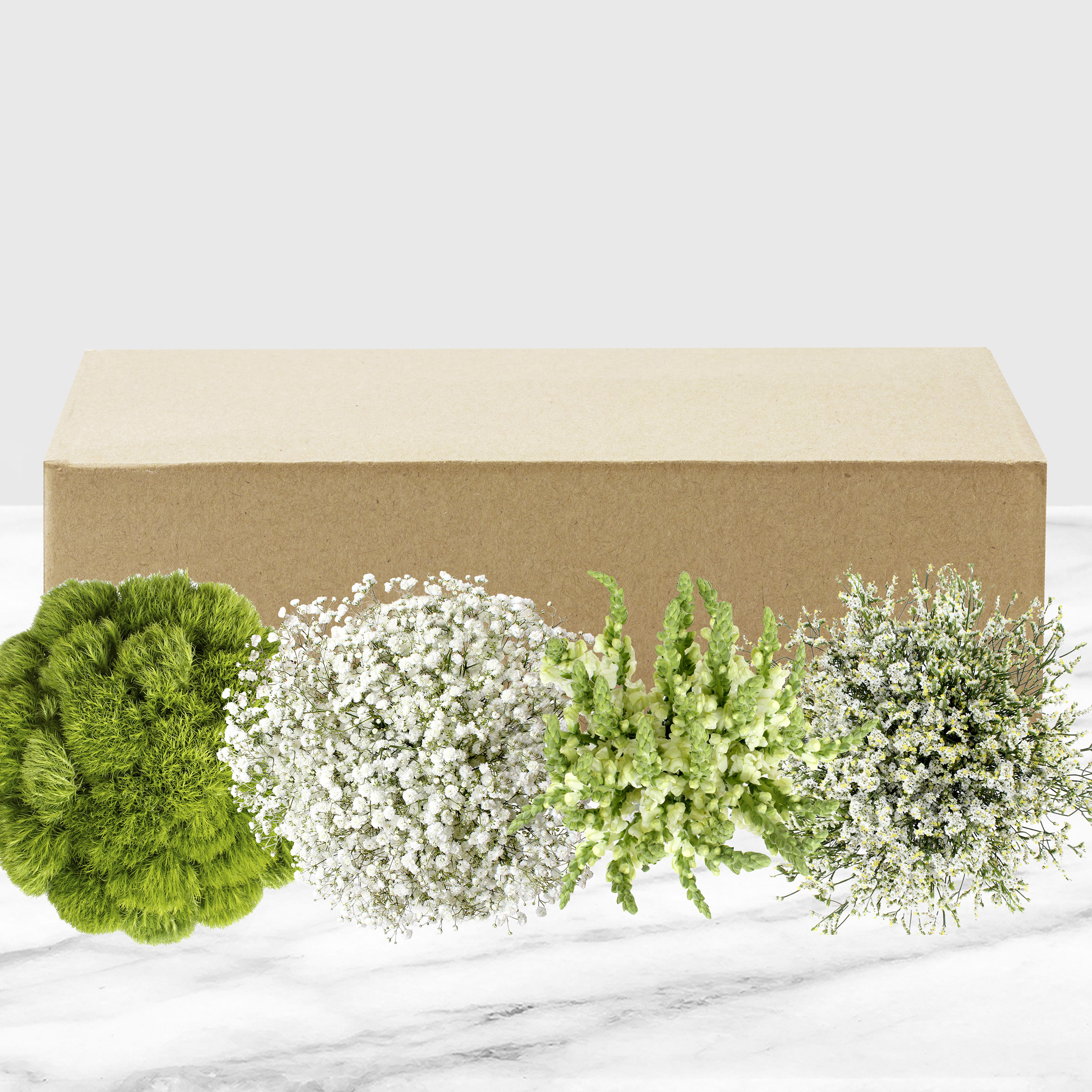 Enlarge Product Preview 6