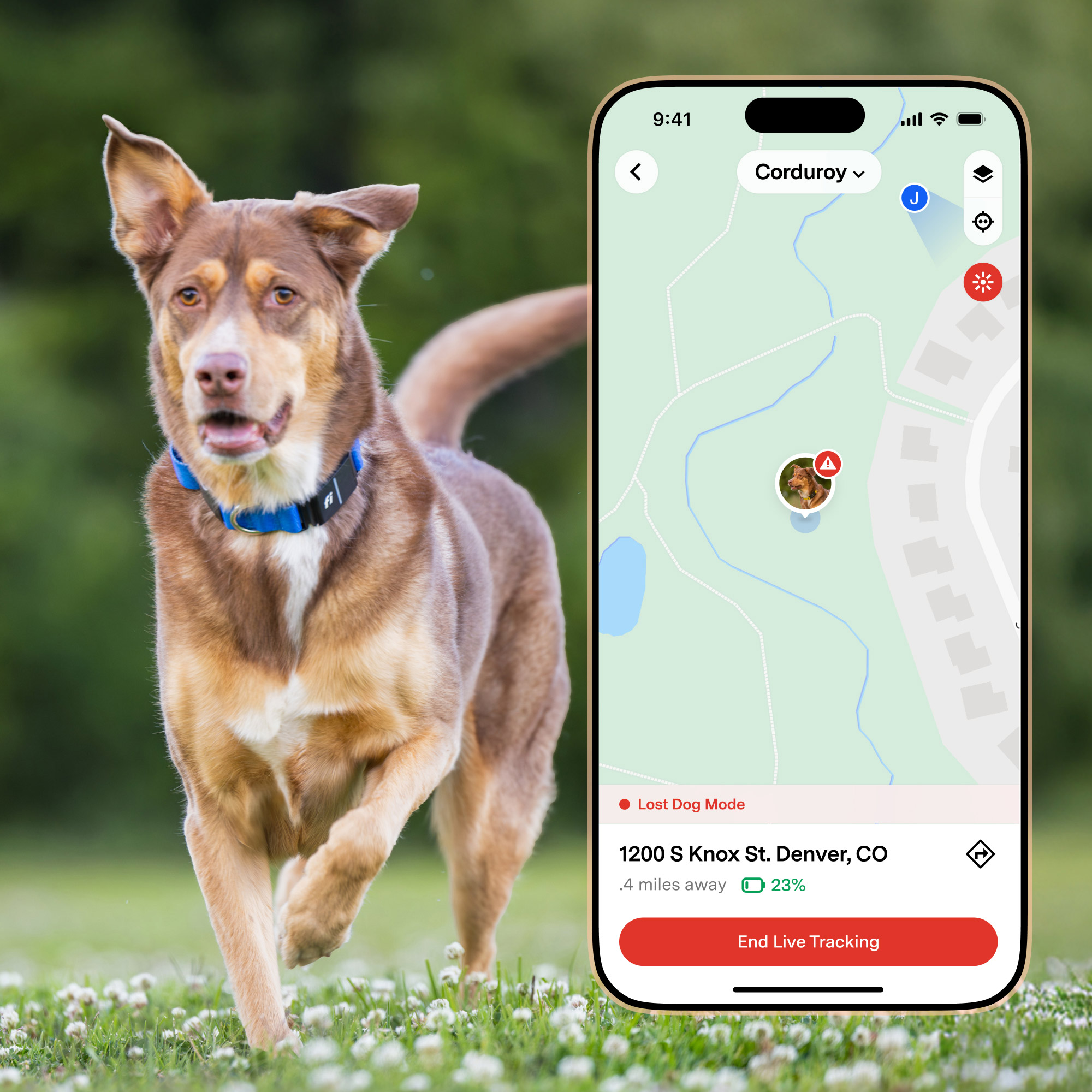 Fi Series 3+ Smart Dog Collar GPS Tracker and Activity Health