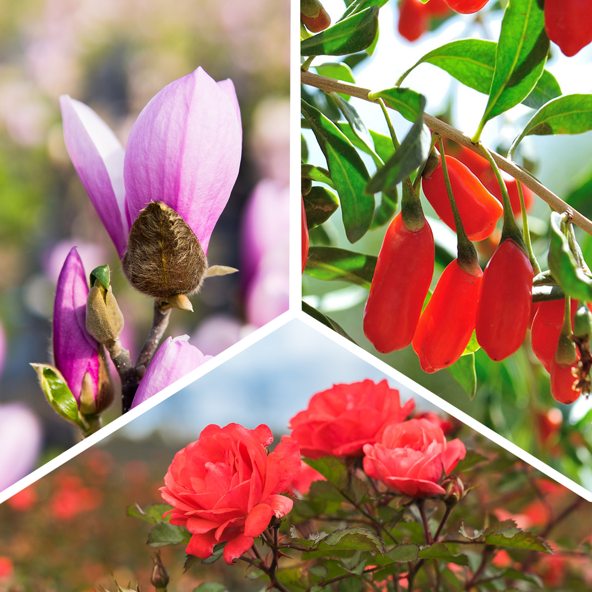 Enlarge Product Preview 5 Successfully Enriched by automation Job.