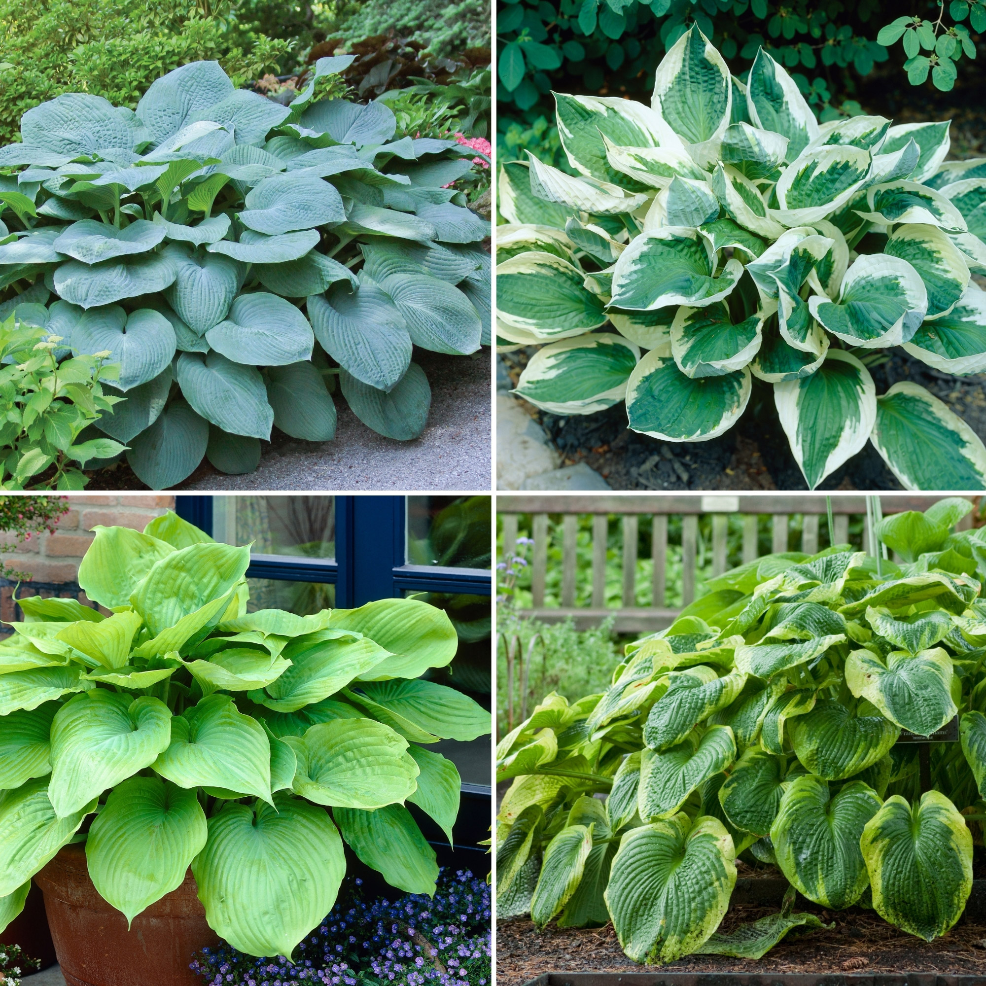 Enlarge Product Preview 2 Successfully Enriched by automation Job.