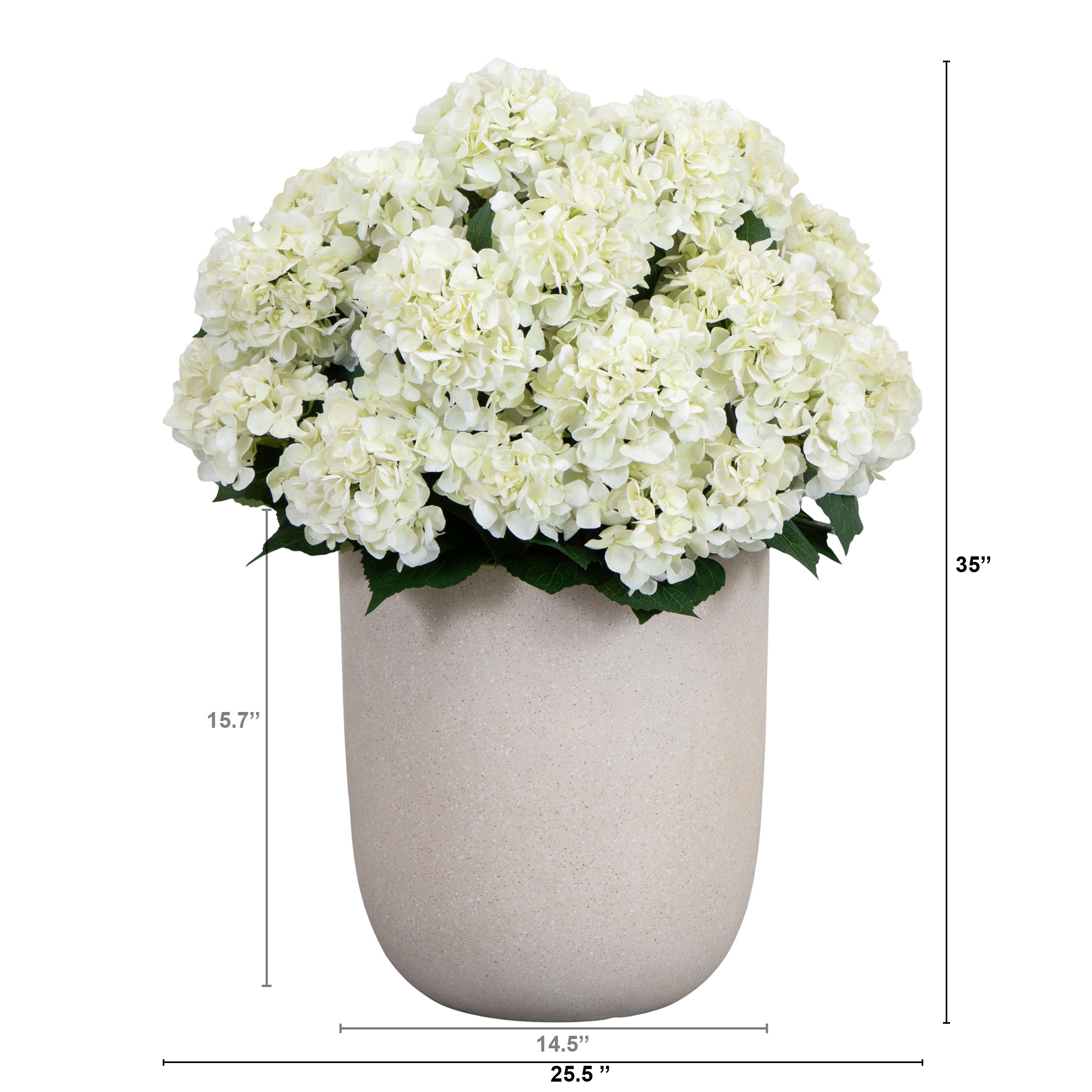 Enlarge Product Preview 2 Successfully Enriched by automation Job.