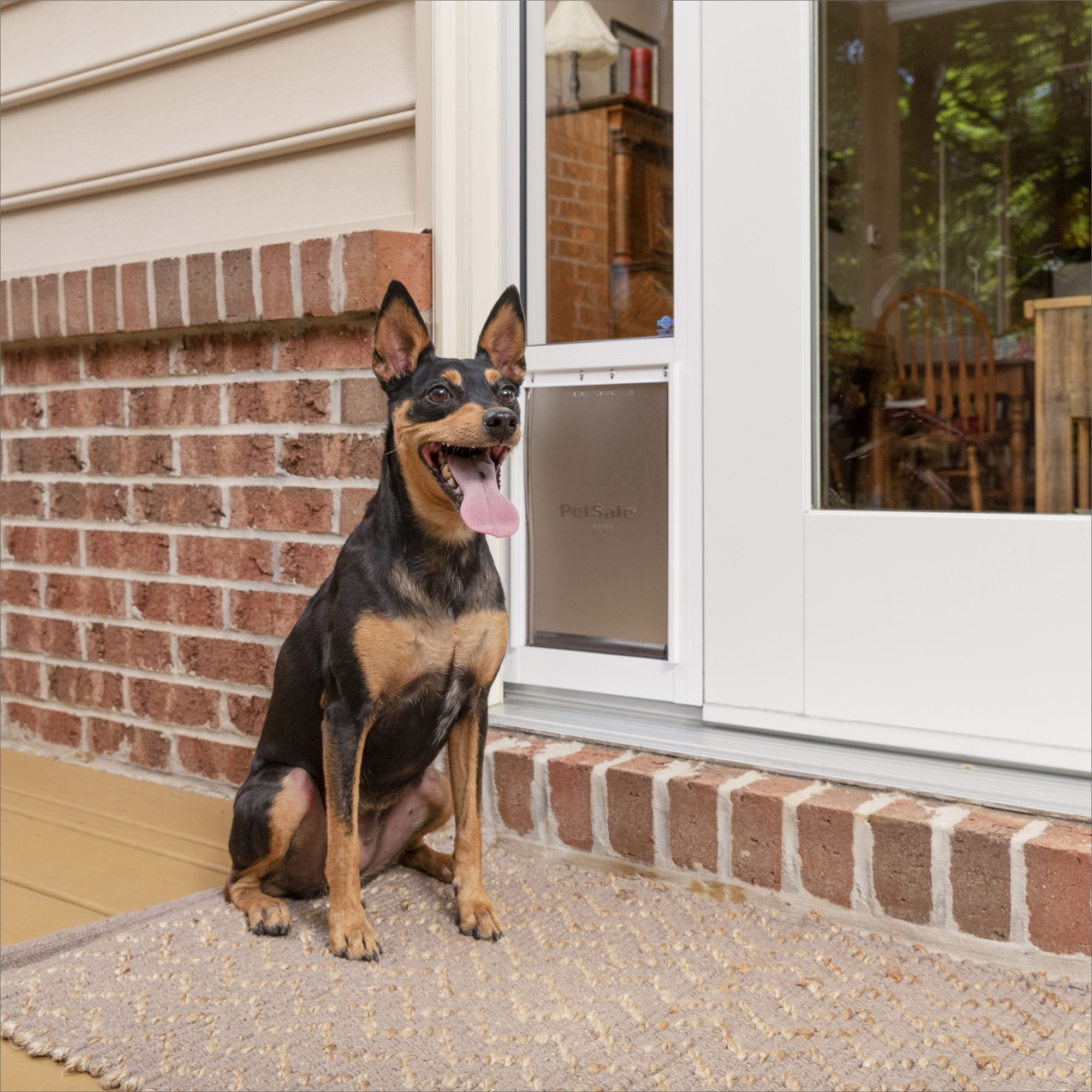 Enlarge Product Preview 2 Successfully Enriched by automation Job.