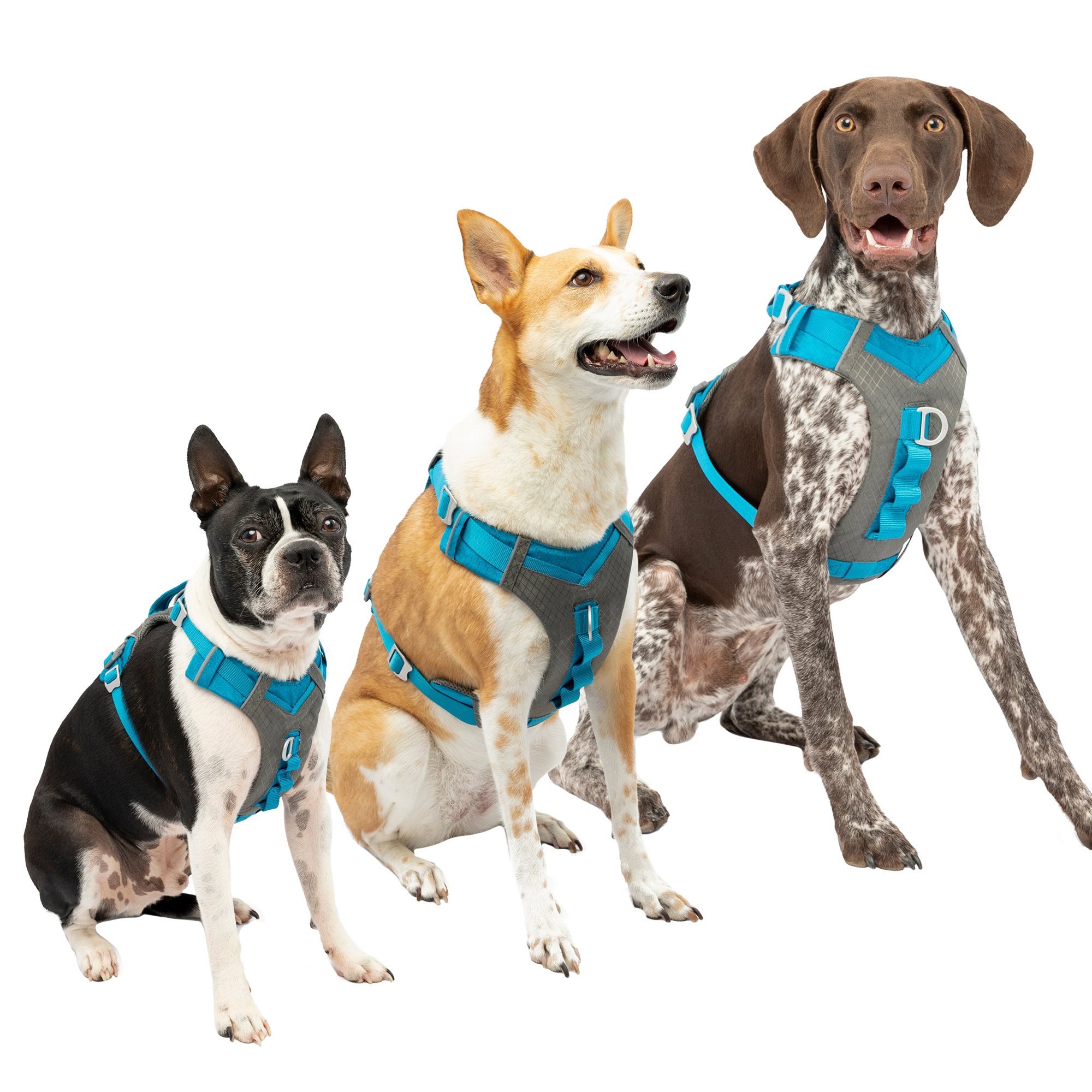 Kurgo Quantum 6-in-1 Leash