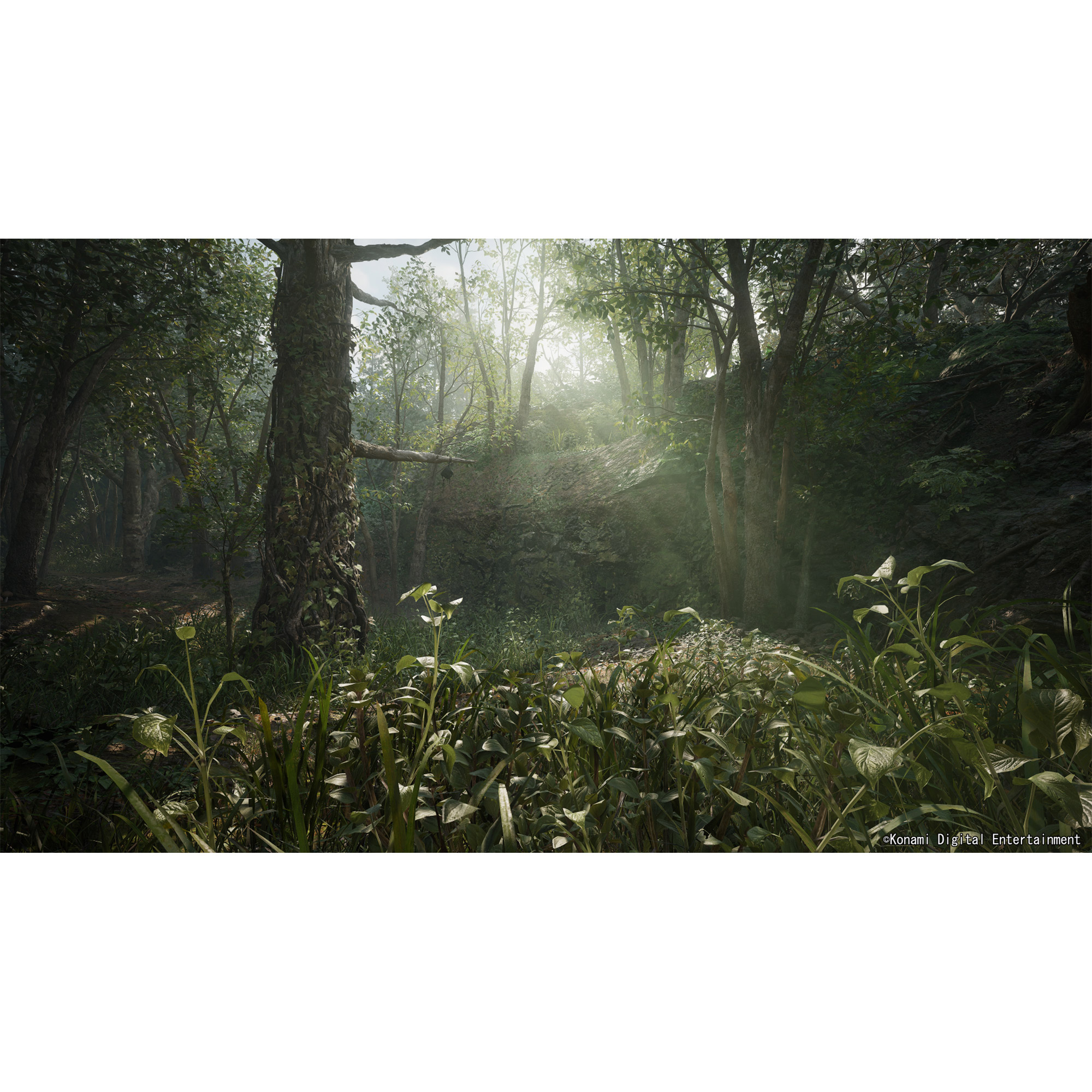 Enlarge Product Preview 4 Successfully Enriched by automation Job.