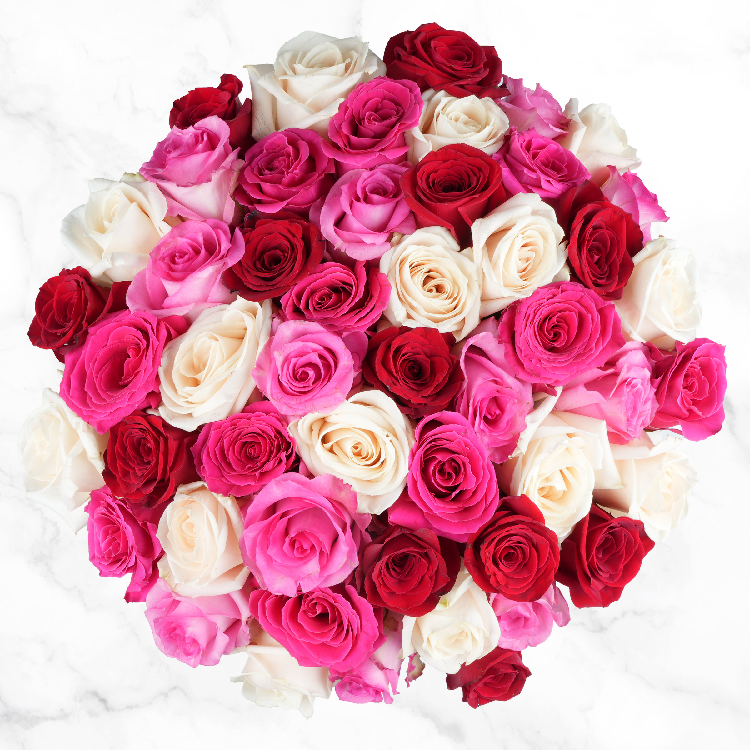Pre-order Valentine's Day Shades of Pink Roses Fresh Cut Floral  50-stems