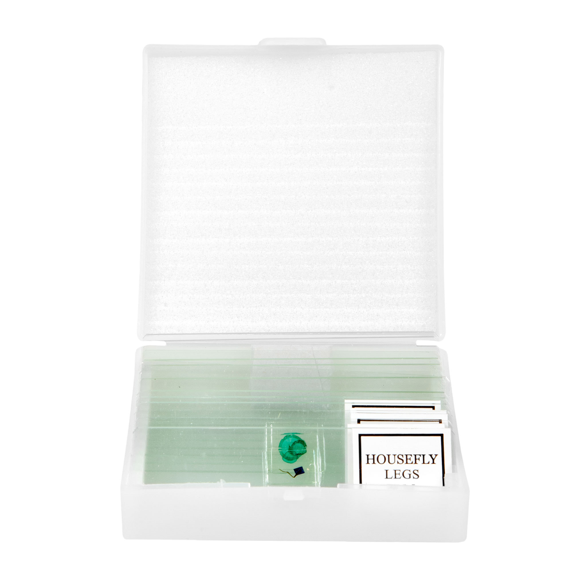 Enlarge Product Preview 6