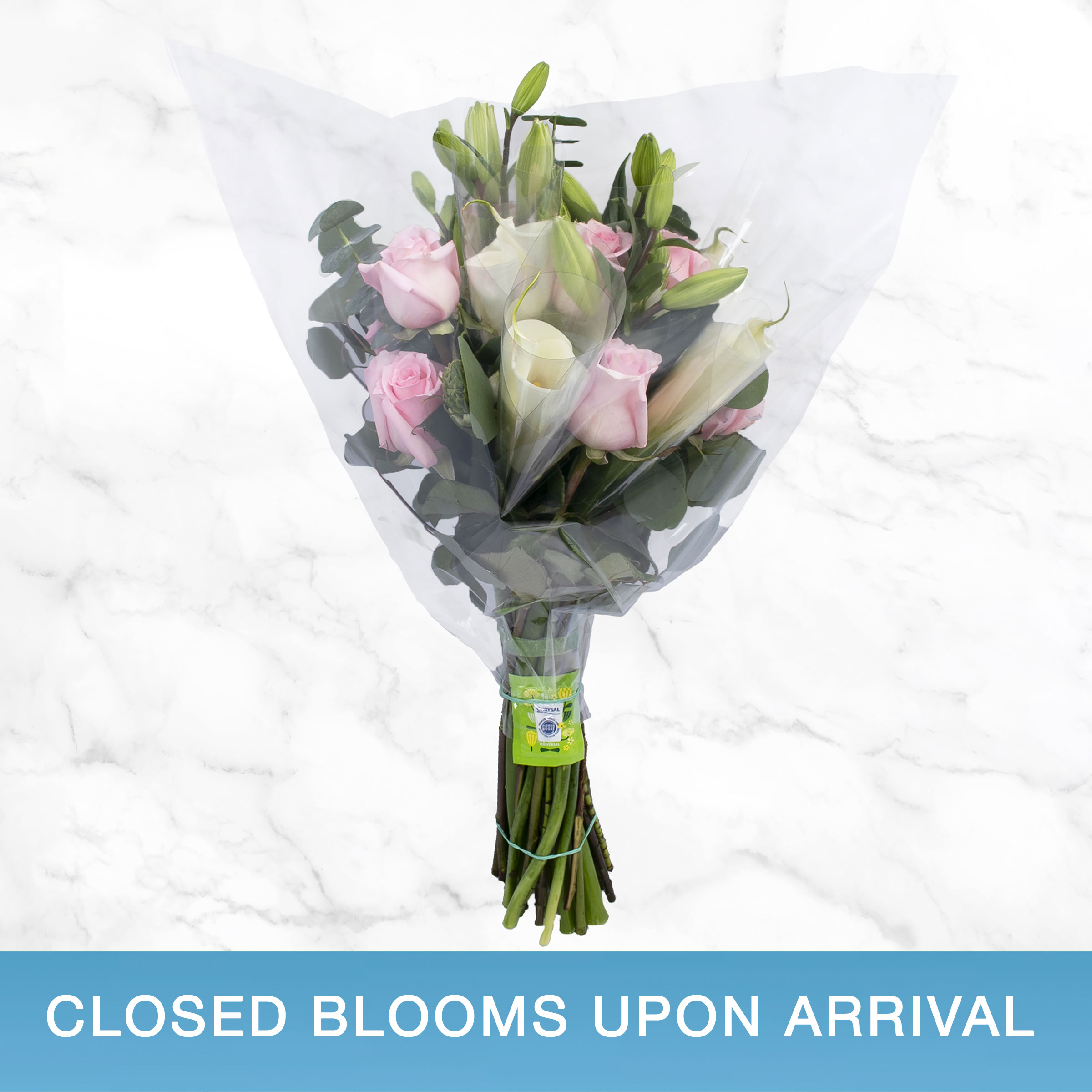 Enlarge Product Preview 2