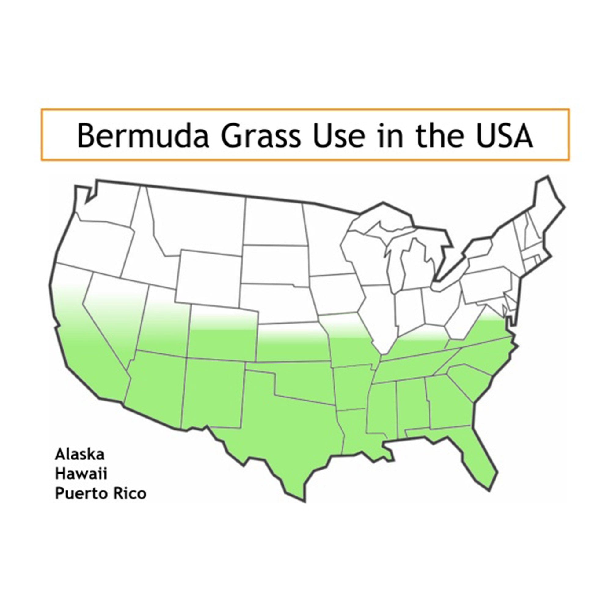 Enlarge Product Preview 12