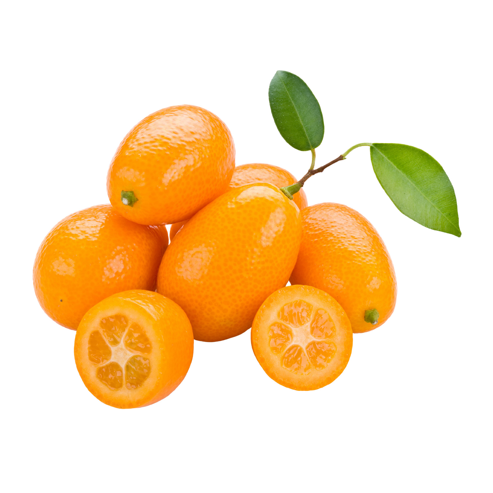 Enlarge Product Preview 3 Successfully Enriched by automation Job.