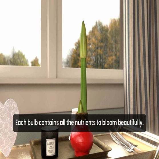 Play Product Video 1