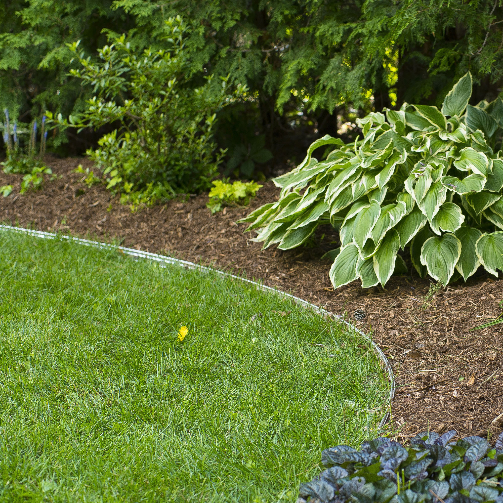 48 m (157.5-ft.) Professional Aluminum Garden Edging