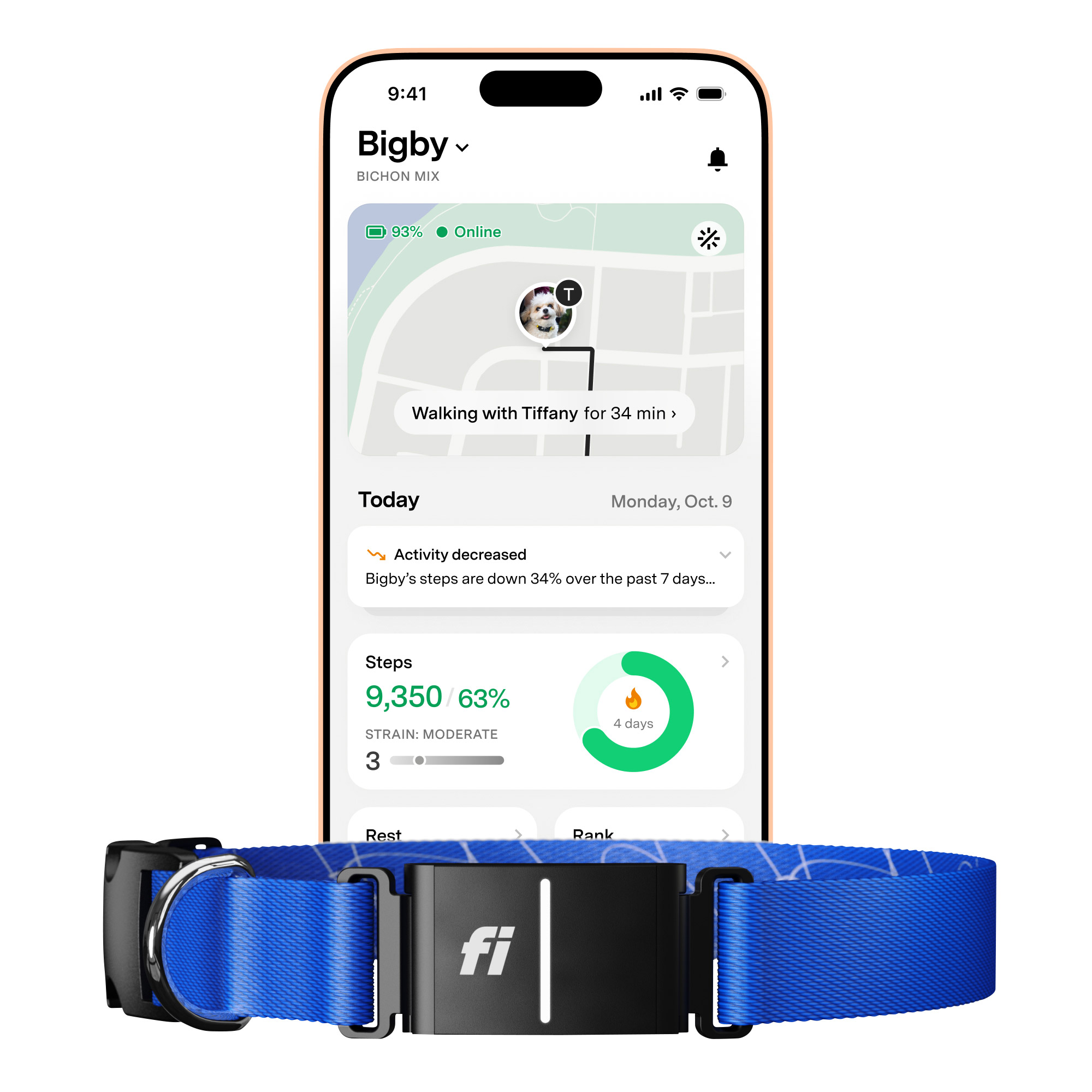 Fi Series 3+ Smart Dog Collar - GPS Tracker and Activity & Health Monitor, 14-Month Membership