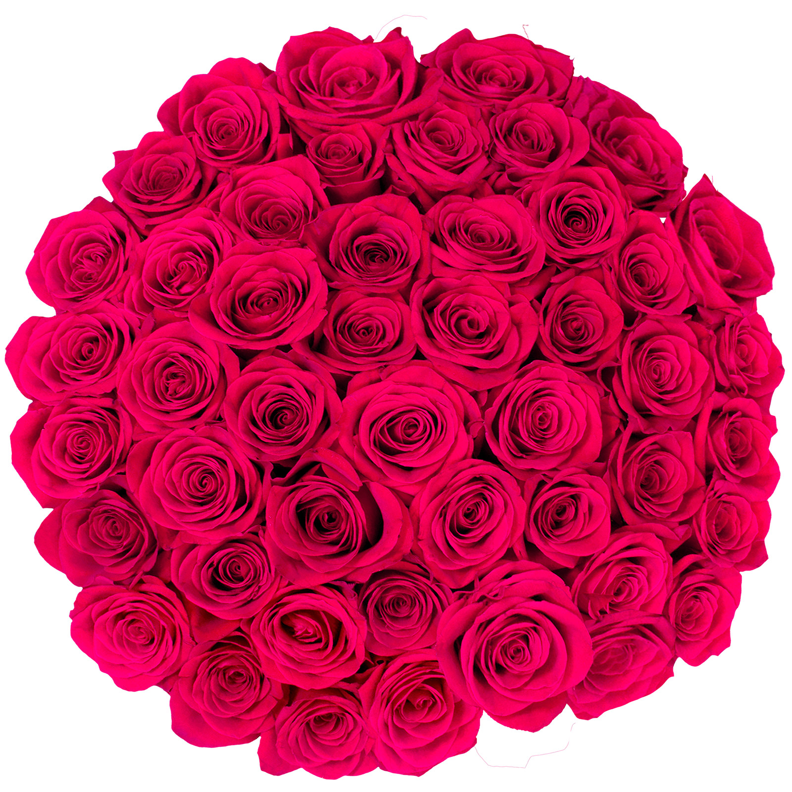 Roses, 48 Stems - Dark Pink