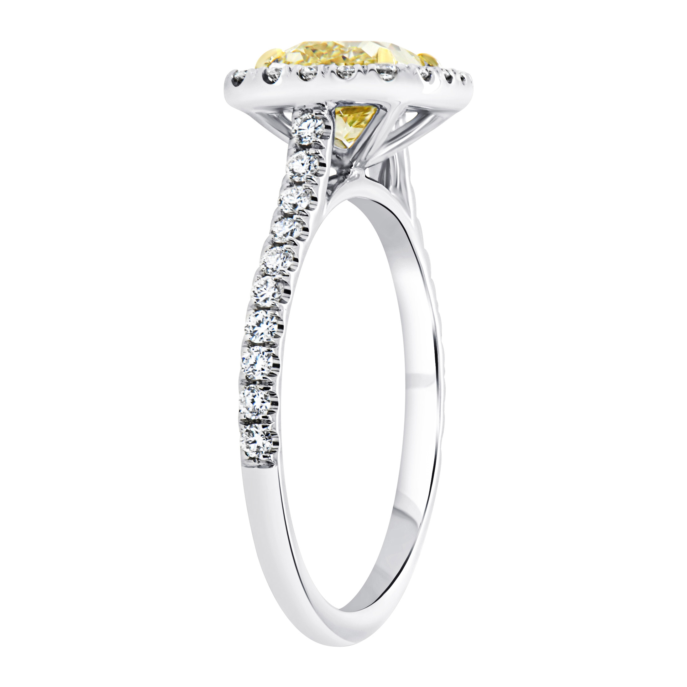 Enlarge Product Preview 2