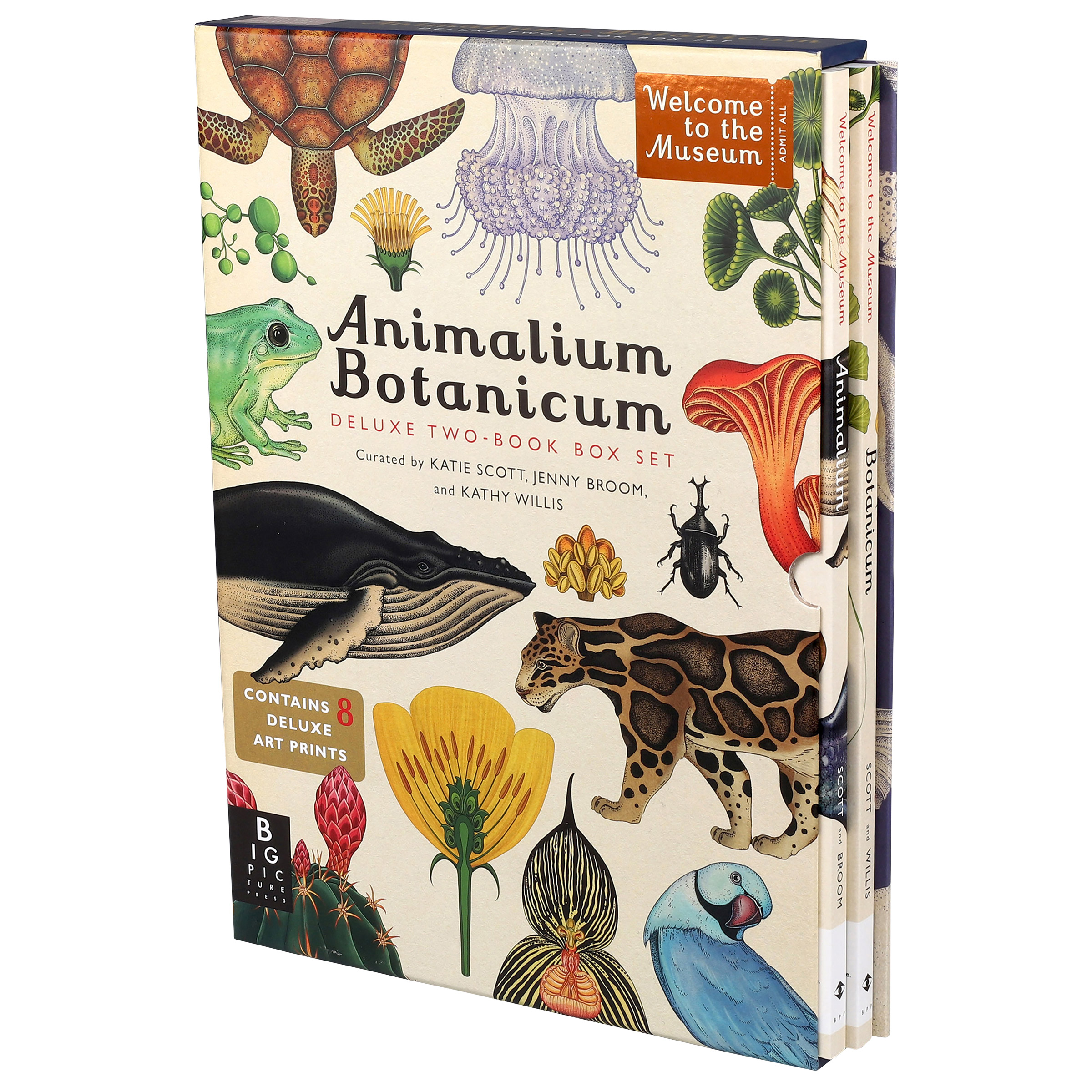 専用　ANIMALIUM/Animalia　洋書2冊セット Animalium Botanicum: 2 Book Set | Costco