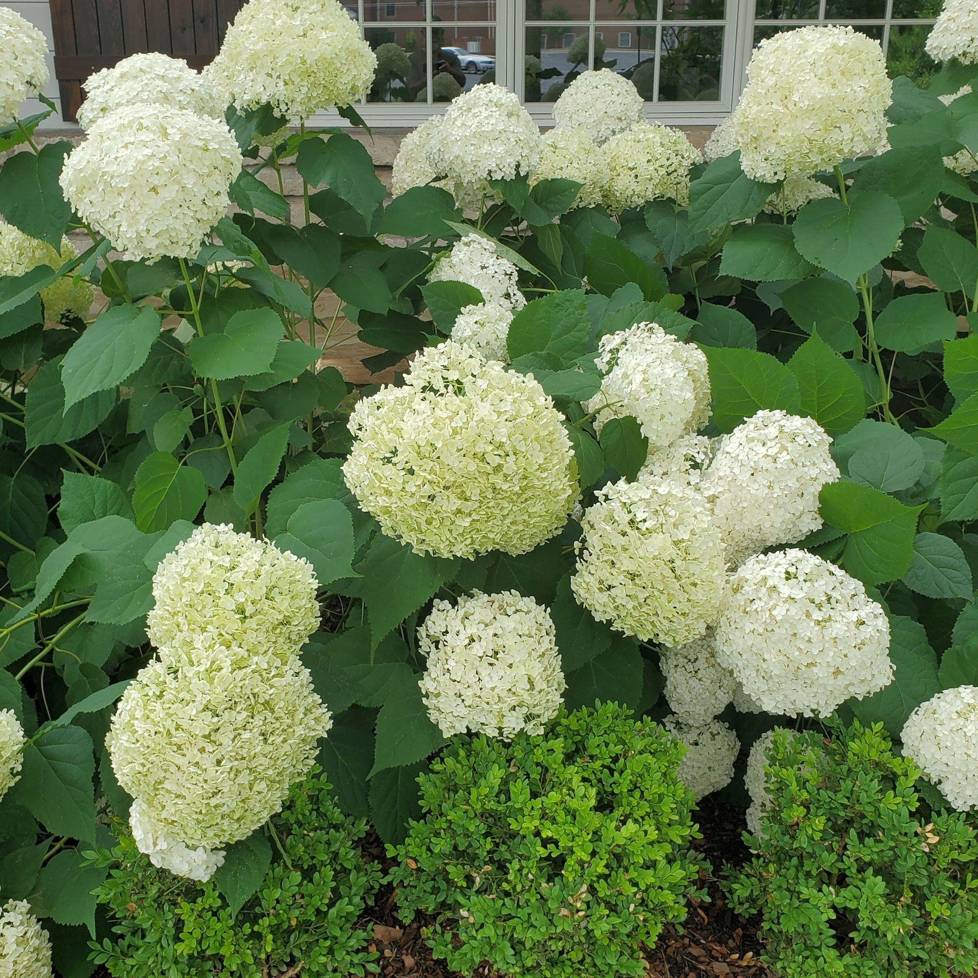 Enlarge Product Preview 12 Successfully Enriched by automation Job.