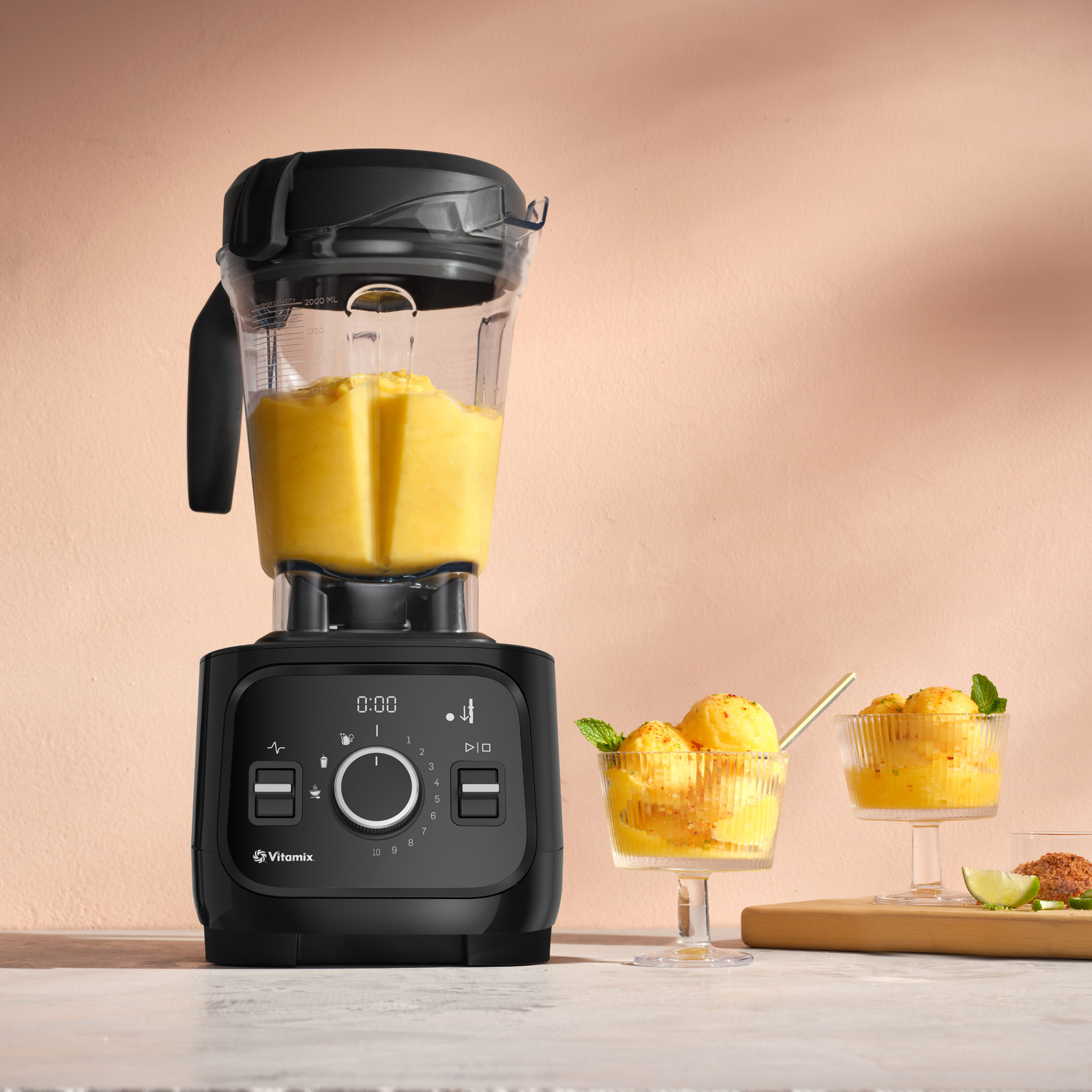 Vitamix Alta Pro Blender | Costco