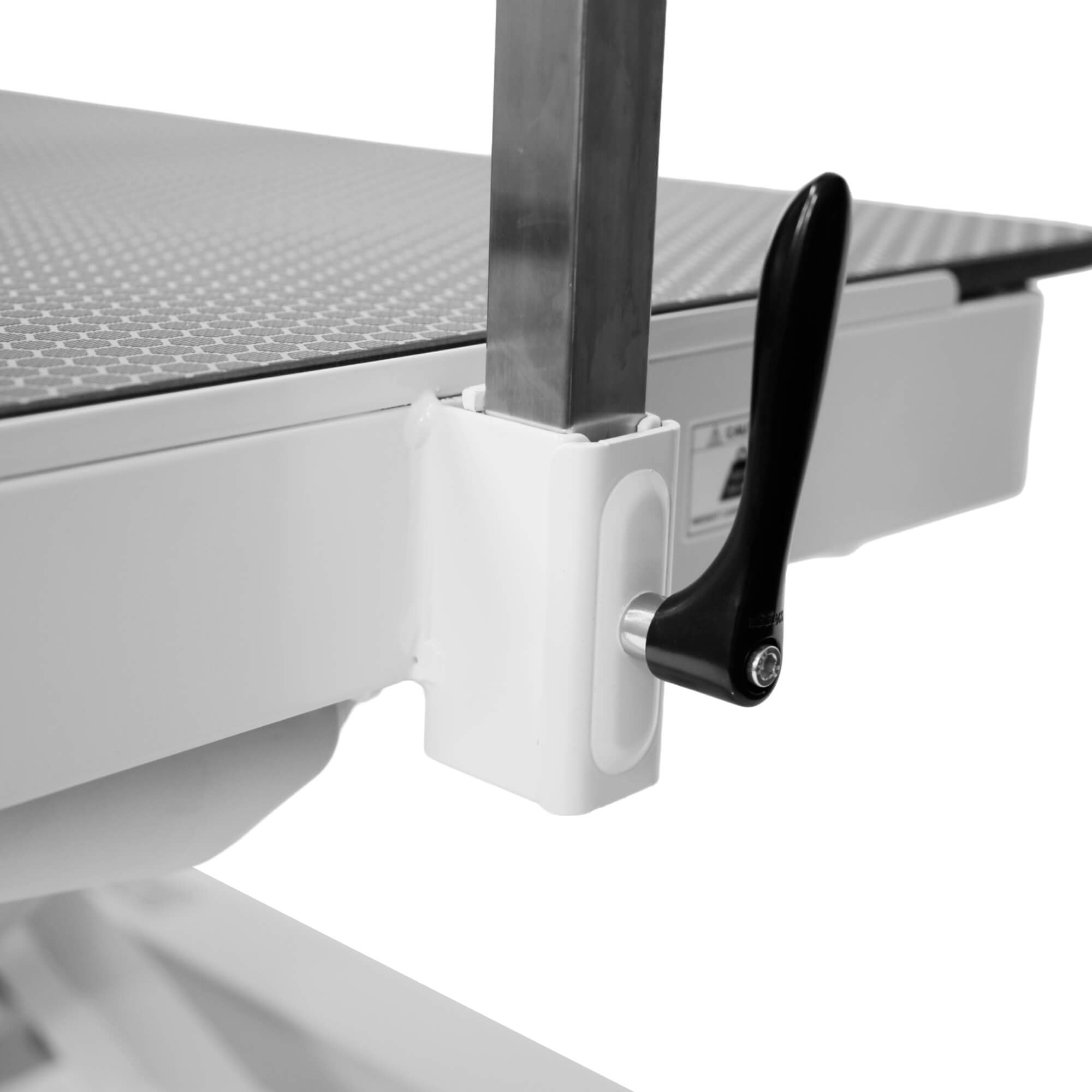 Waggz Roll-Light Electric Dog Grooming Table | Costco