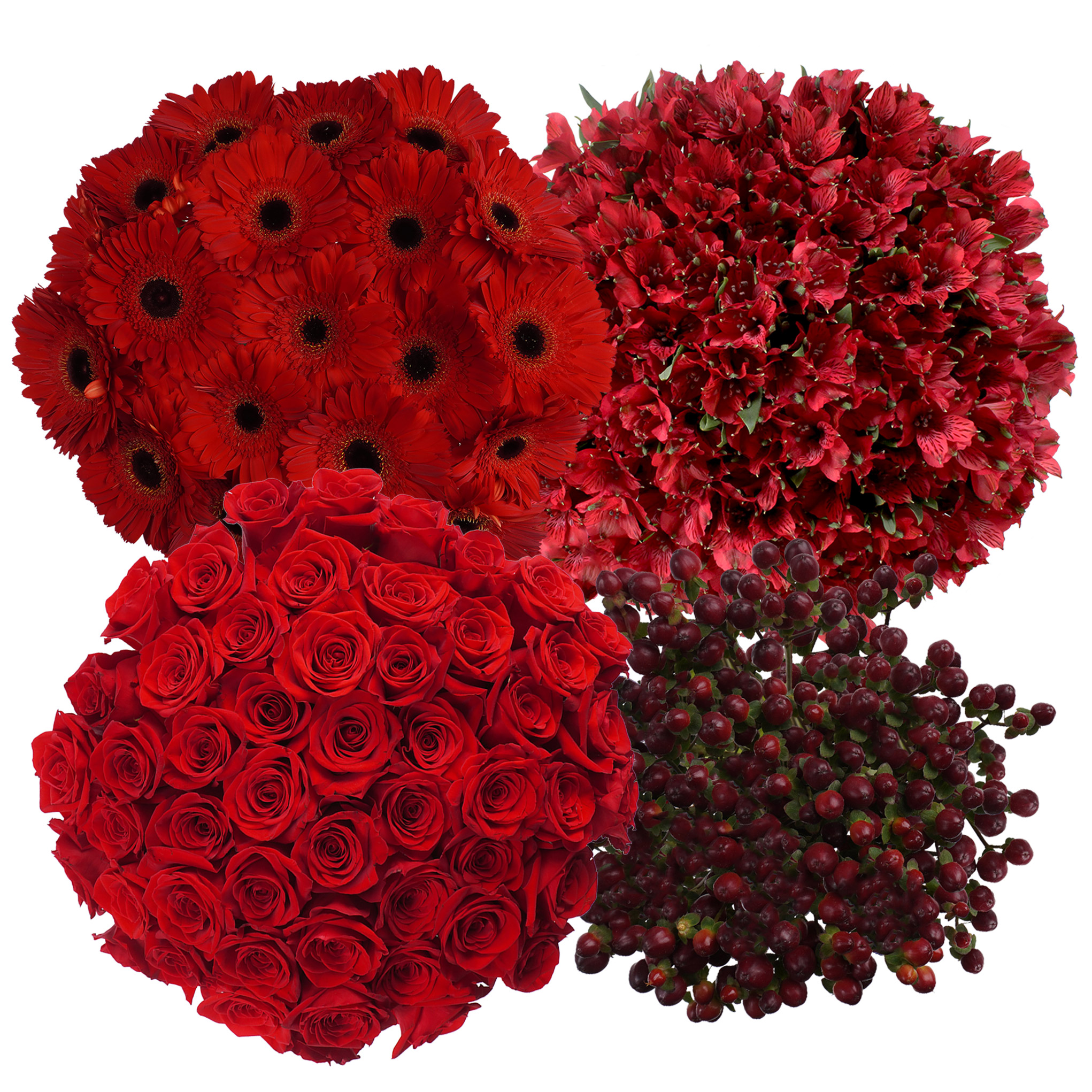 Bulk Flower Medley, Red