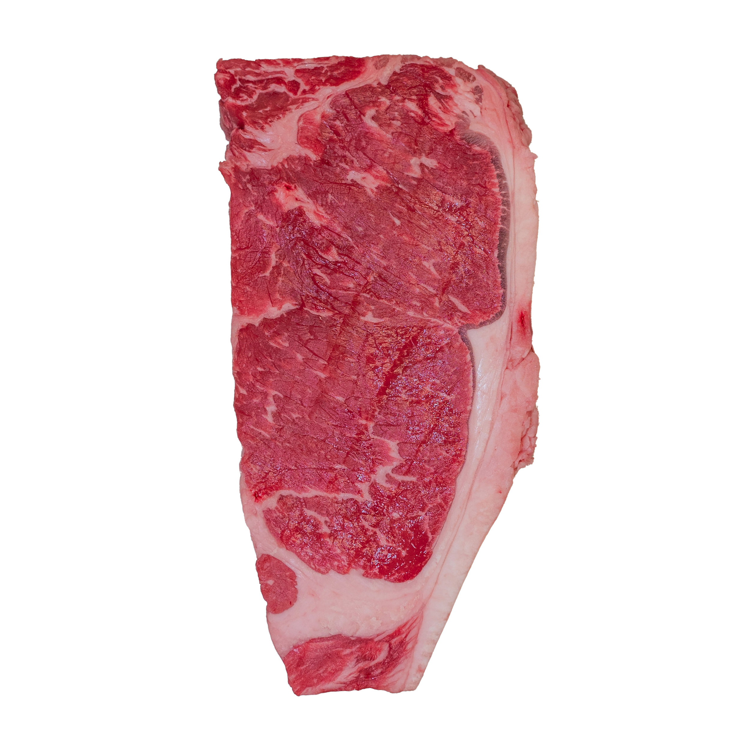 Enlarge Product Preview 5