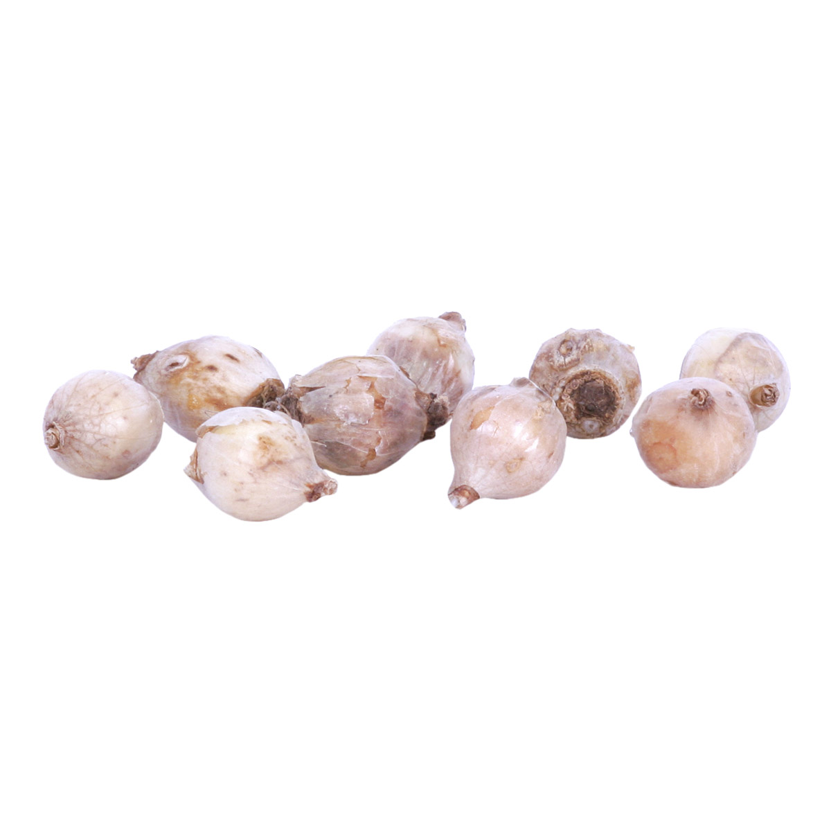 Enlarge Product Preview 3