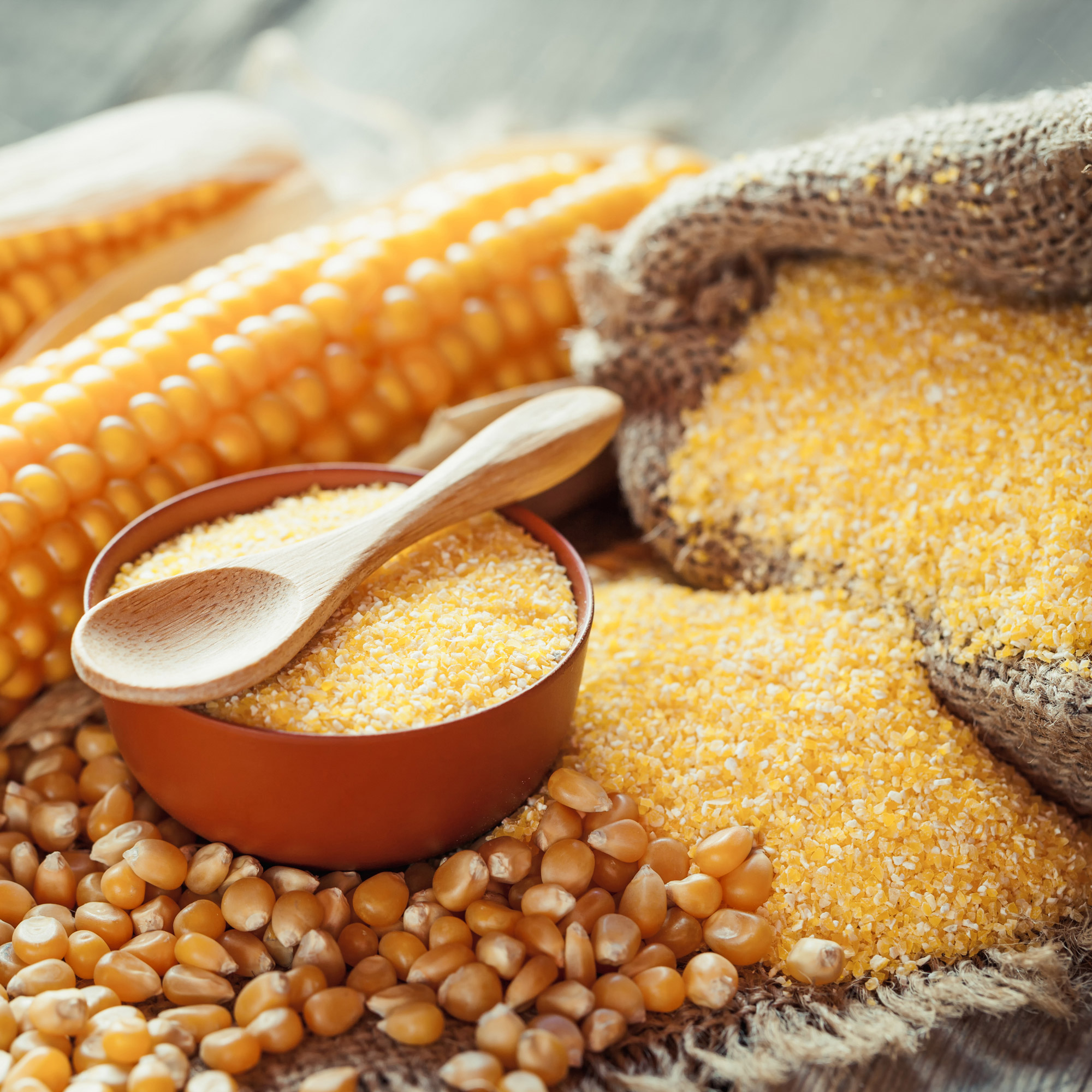 Enlarge Product Preview 5