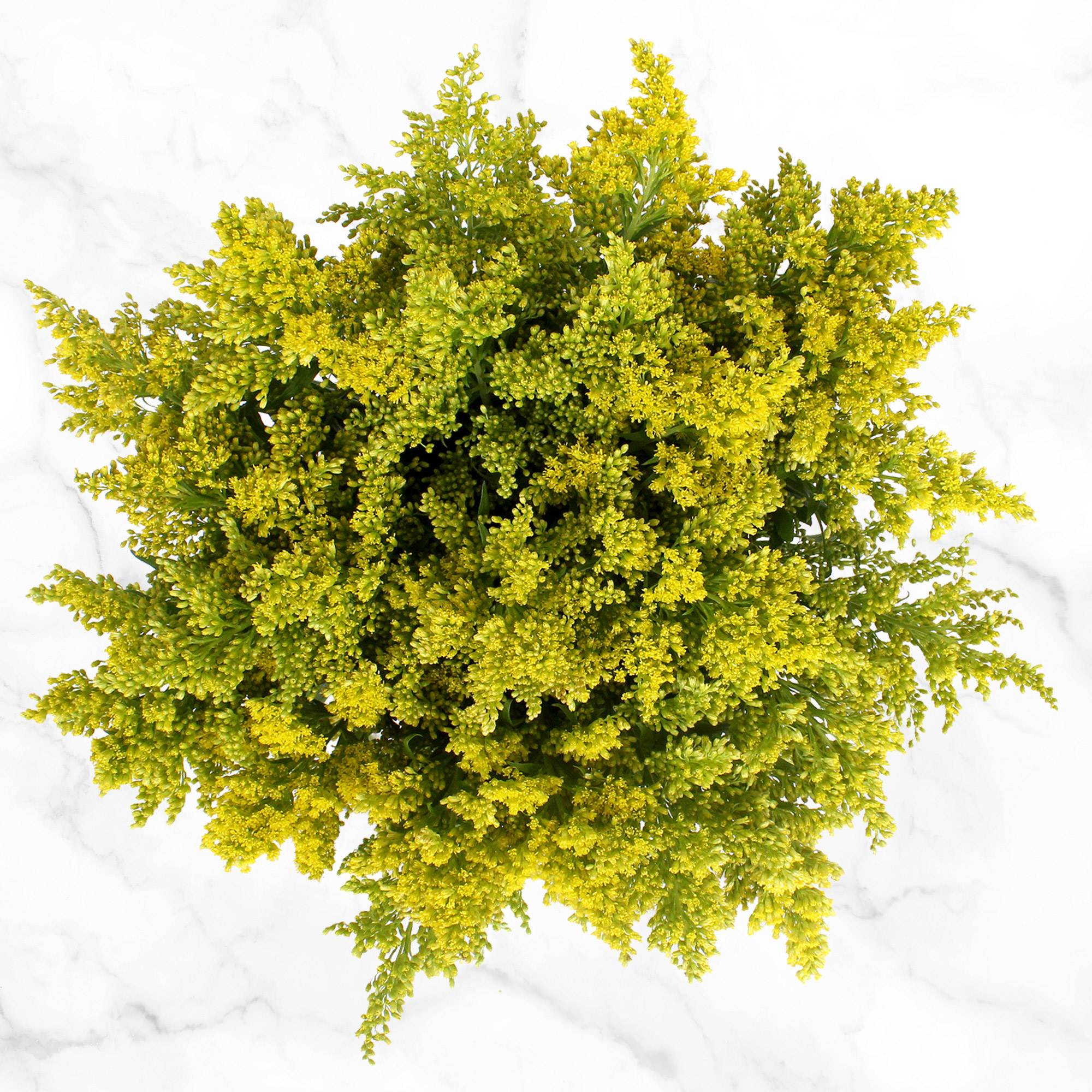 Enlarge Product Preview 4