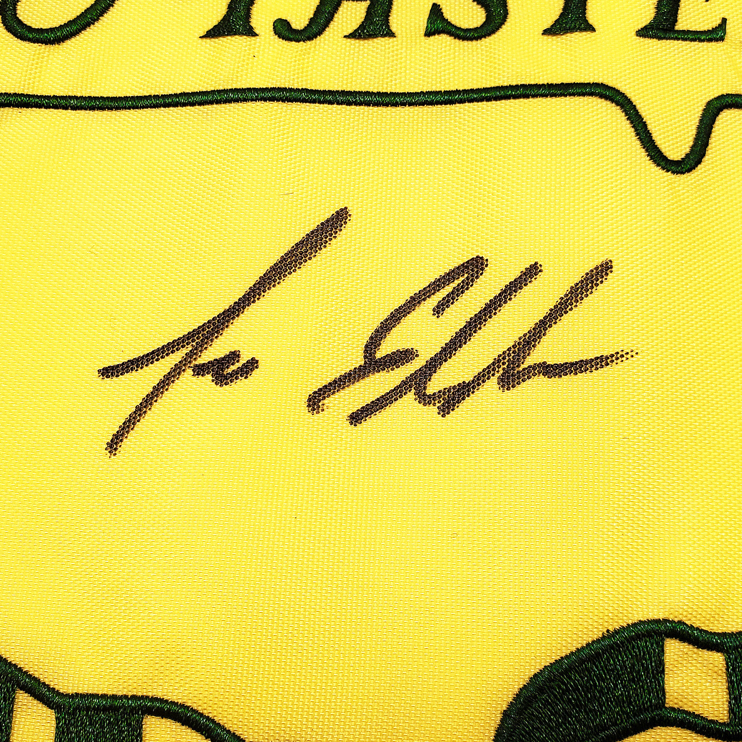 Enlarge Product Preview 3 Successfully Enriched by automation Job.