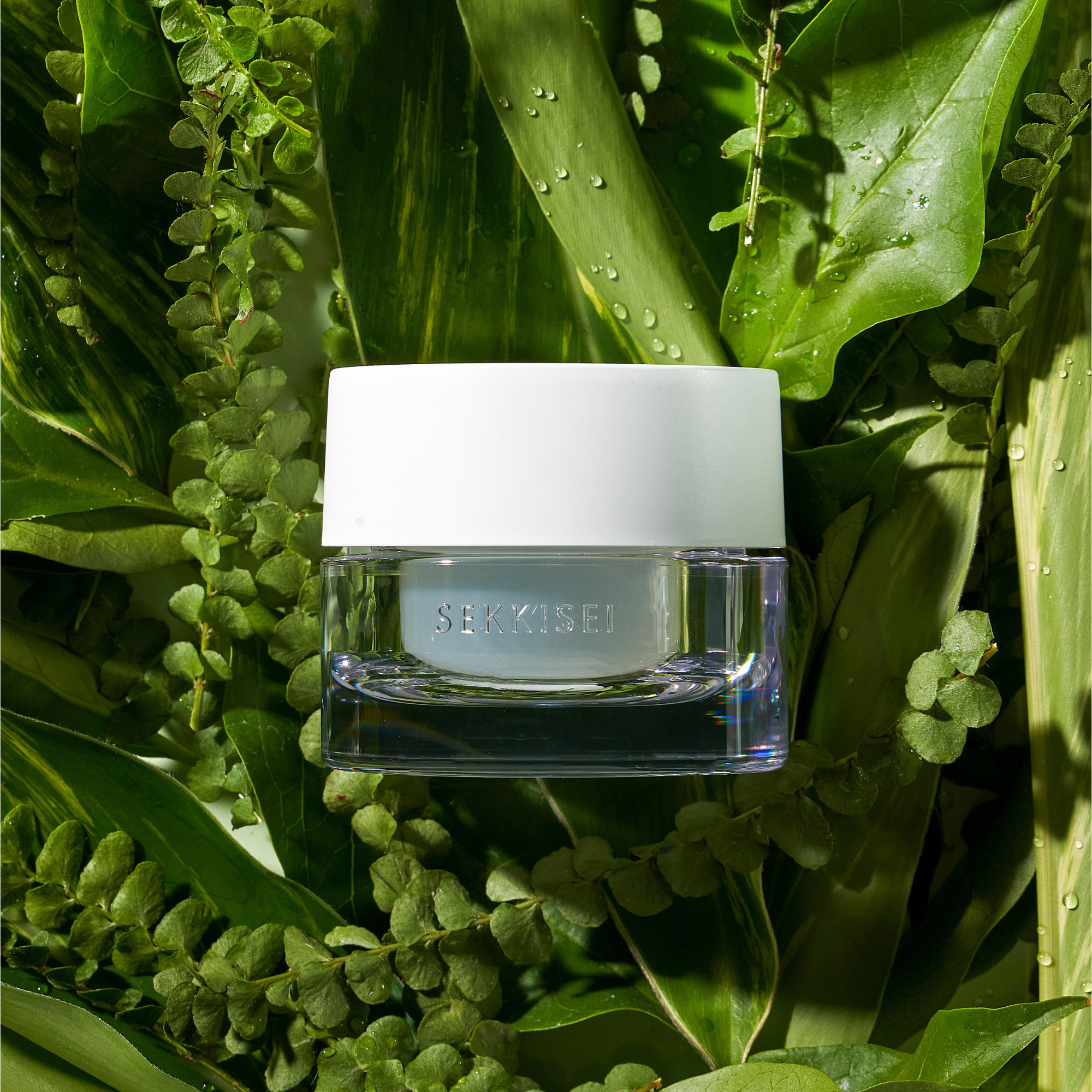 SEKKISEI - Costco Next