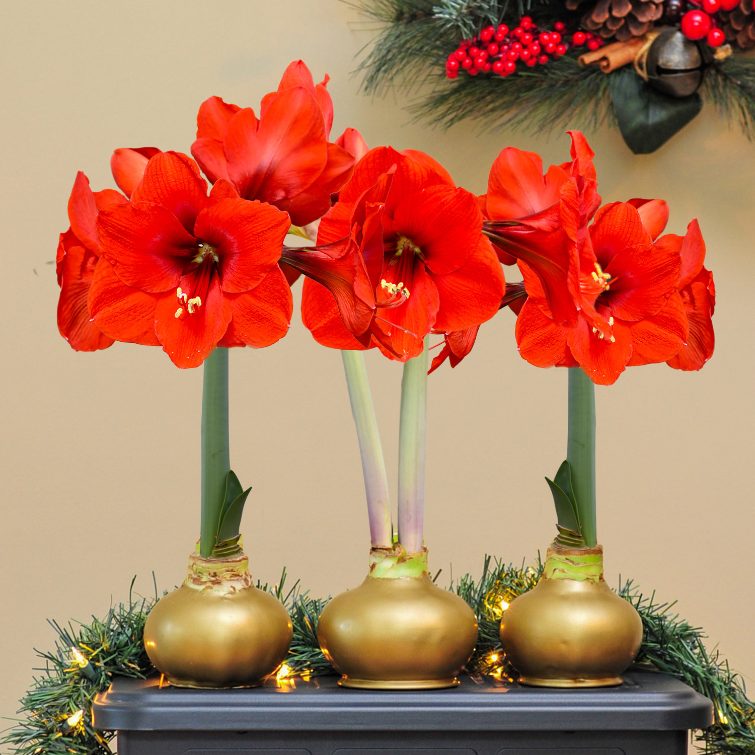 Enlarge Product Preview 3