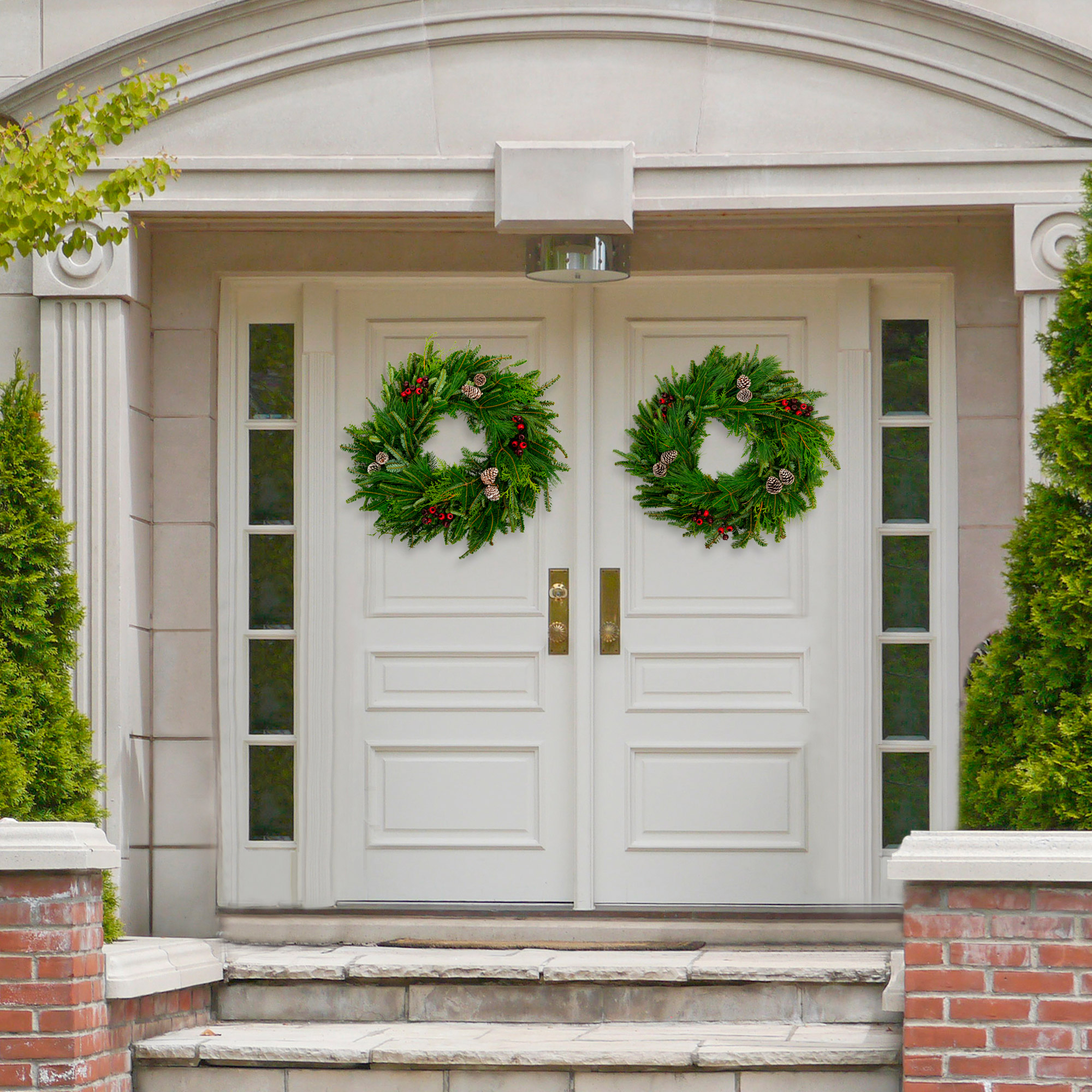 Enlarge Product Preview 5