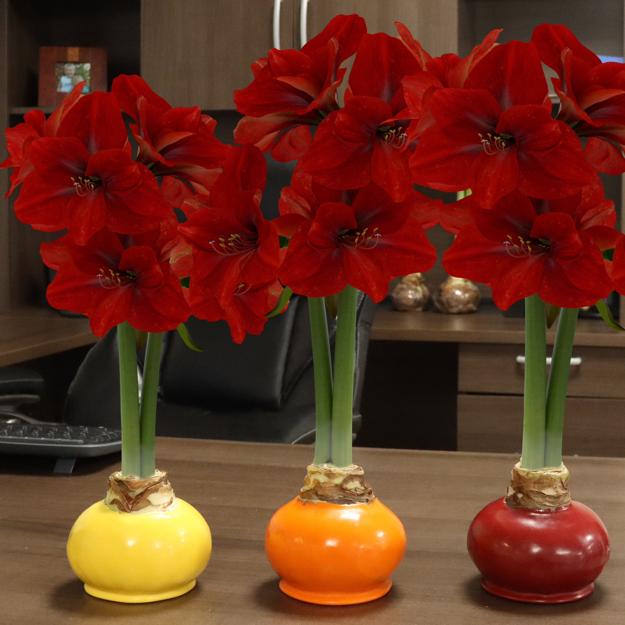 Enlarge Product Preview 5