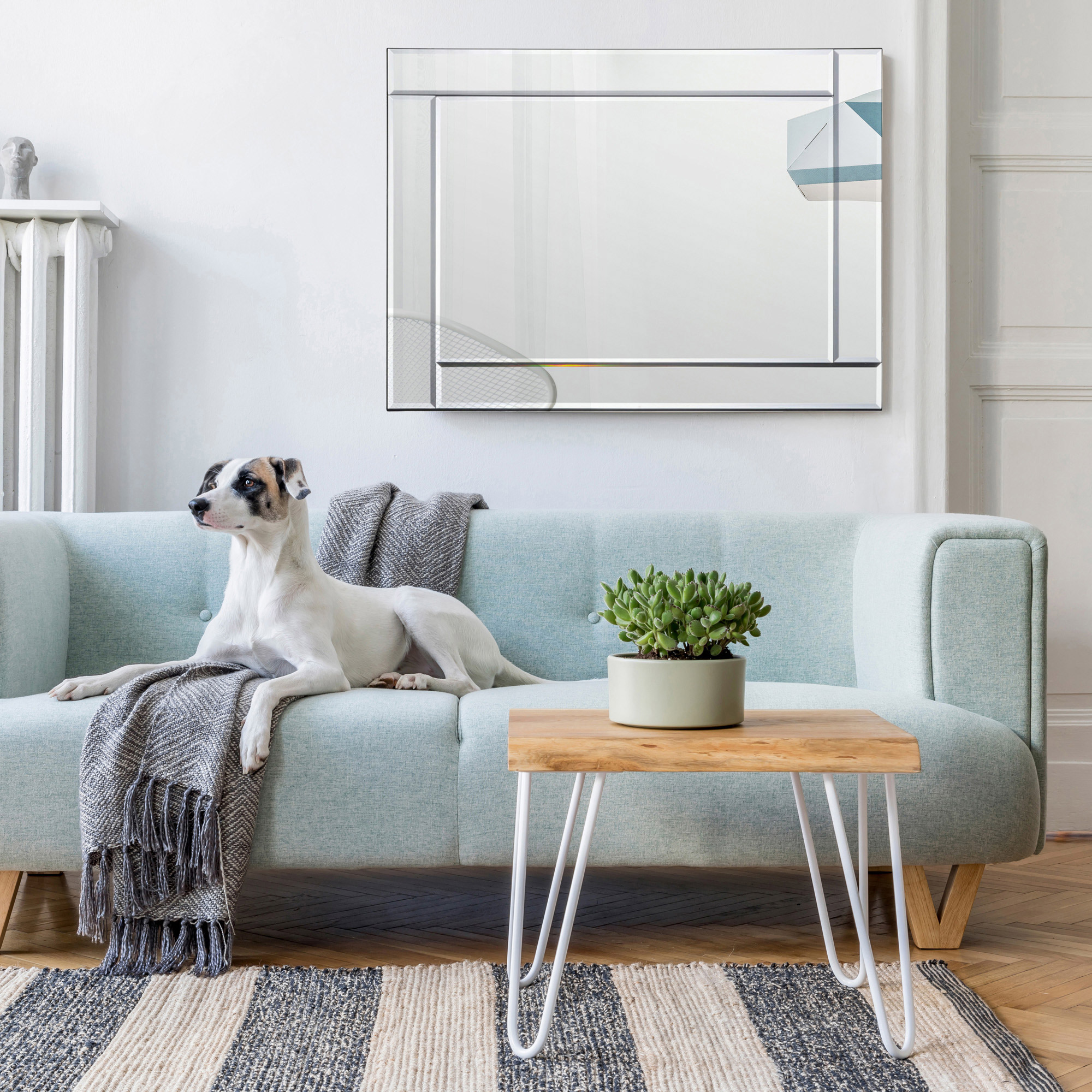 Mode Rectangular Mirror with Beveled Mirror Frame