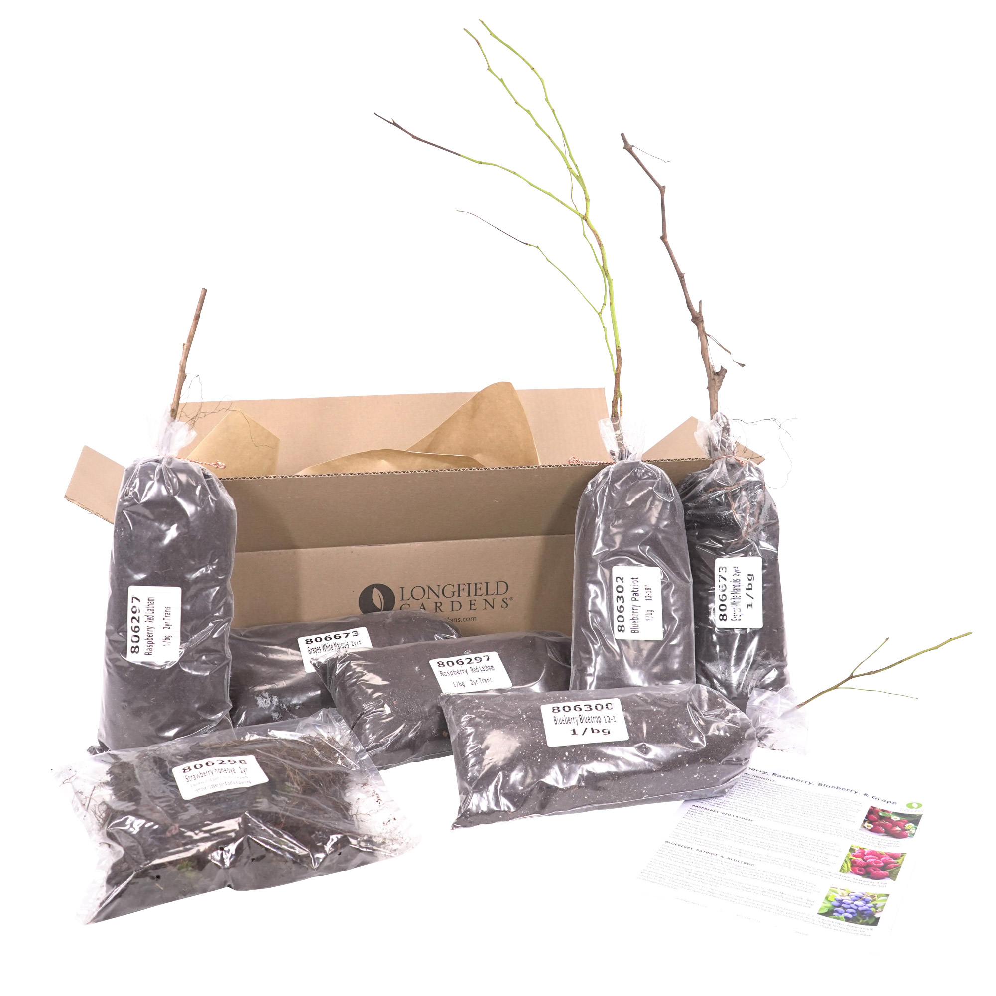 Enlarge Product Preview 7