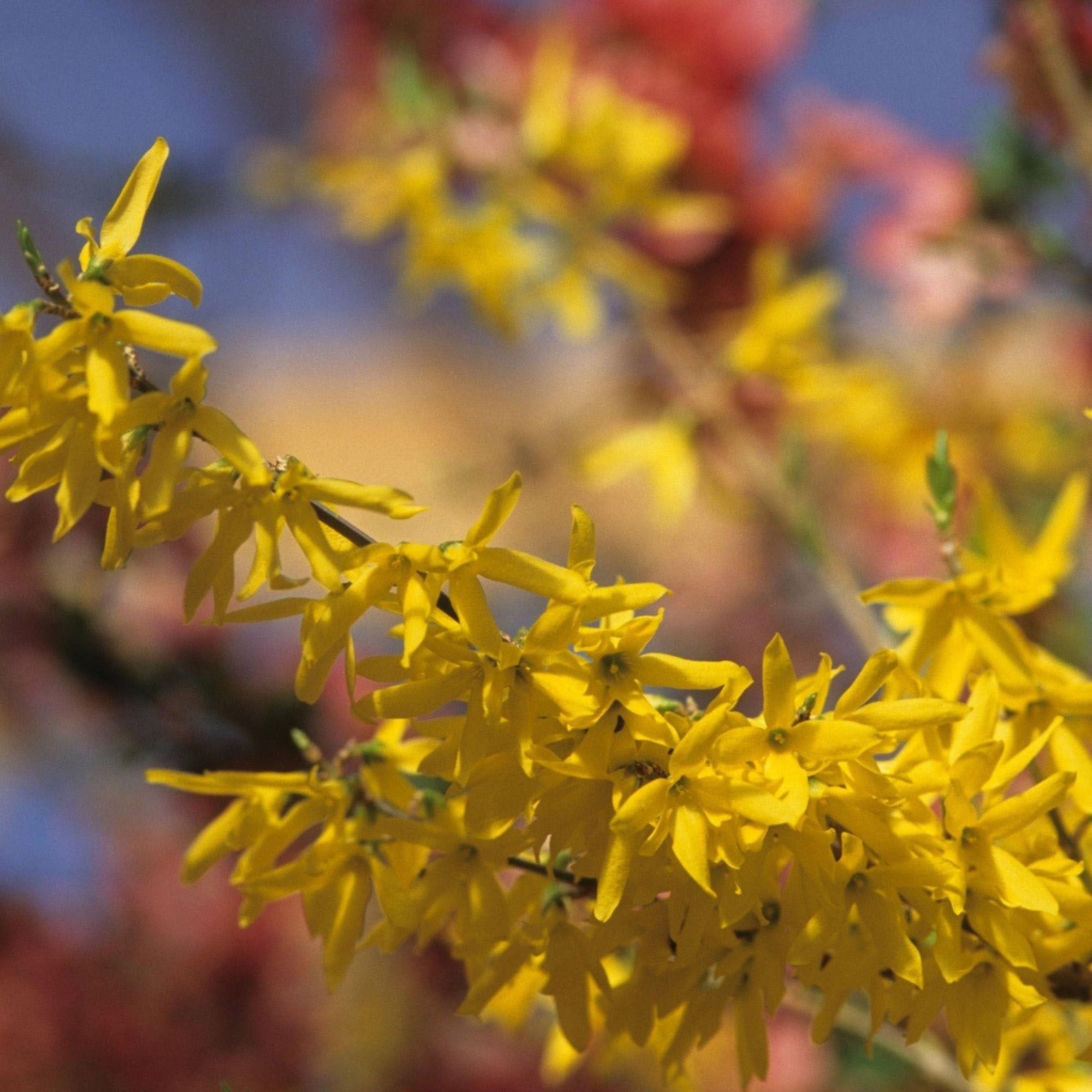 Enlarge Product Preview 4 Successfully Enriched by automation Job.