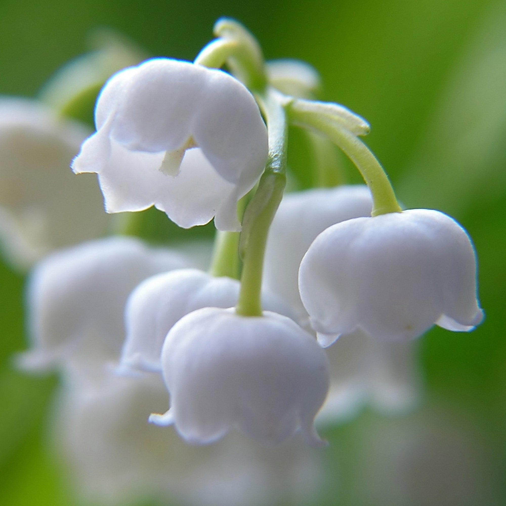 1134512-847__1?auto=webp&