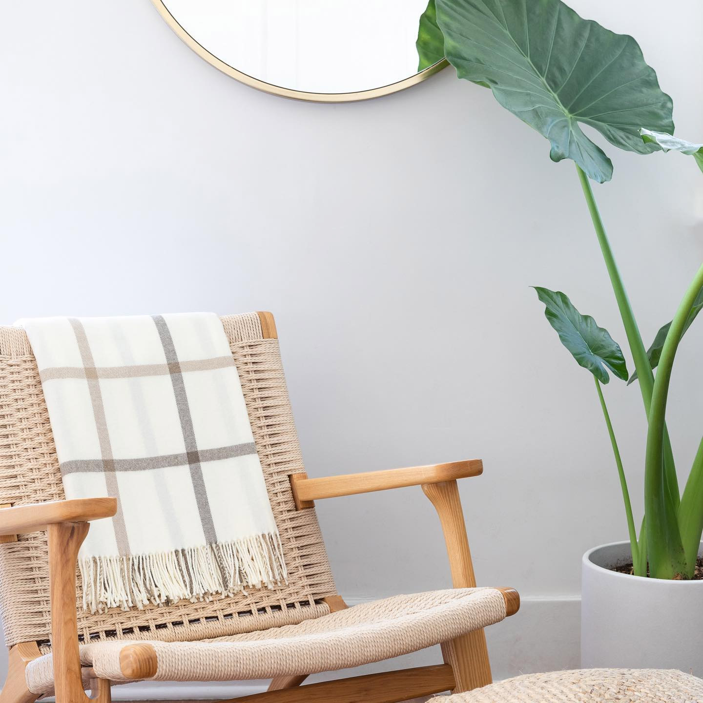 Enlarge Product Preview 5 Successfully Enriched by automation Job.